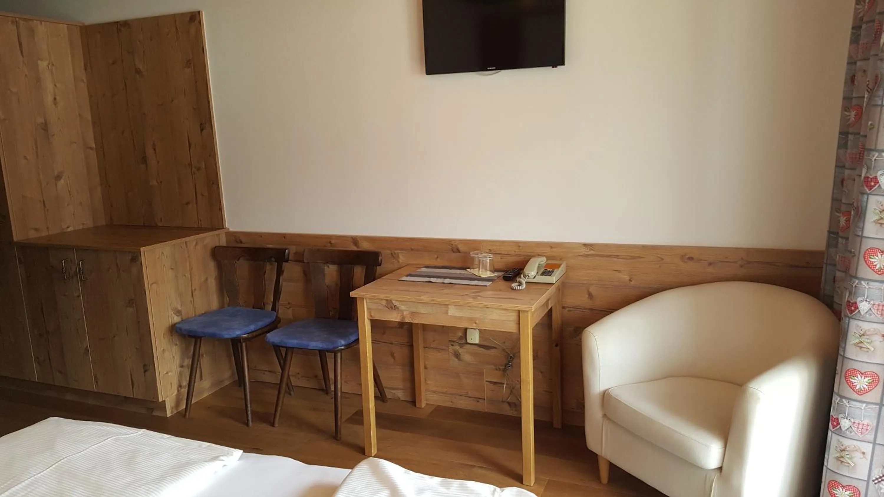 TV and multimedia in Pension Singer