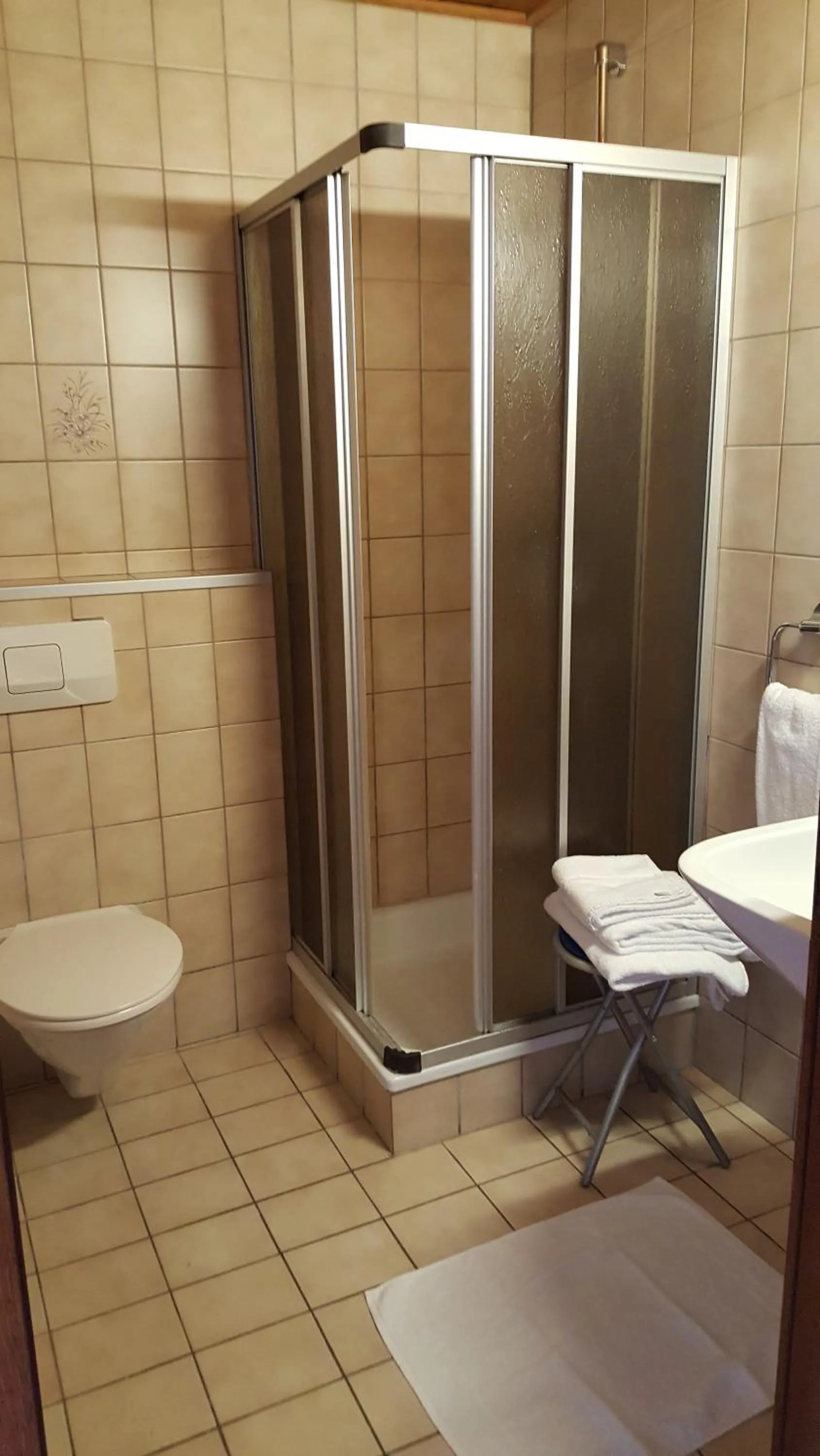 Shower in Pension Singer