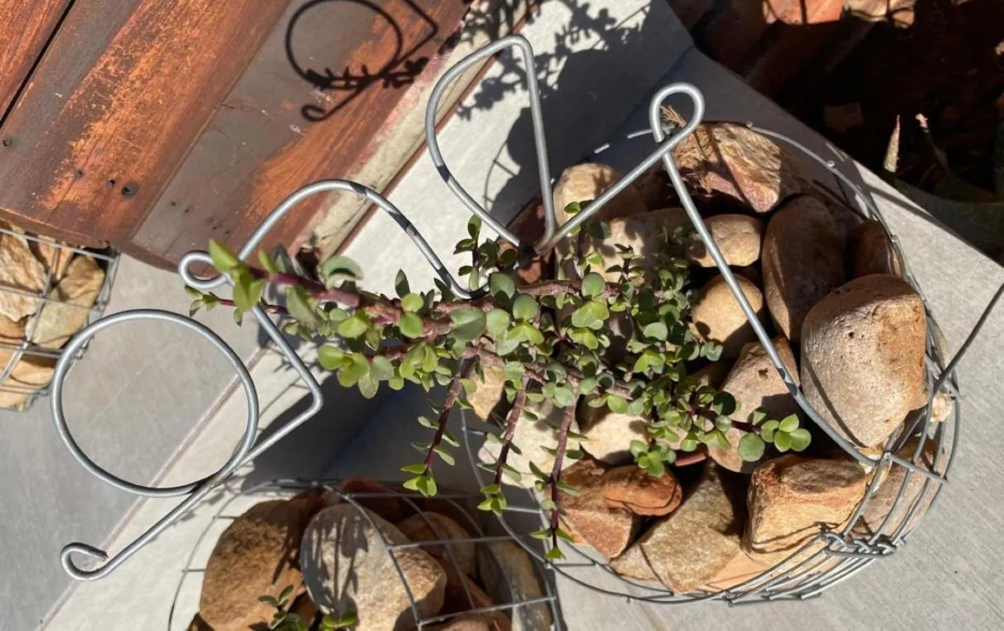 Decorative detail in Klein Karoo Game Lodge