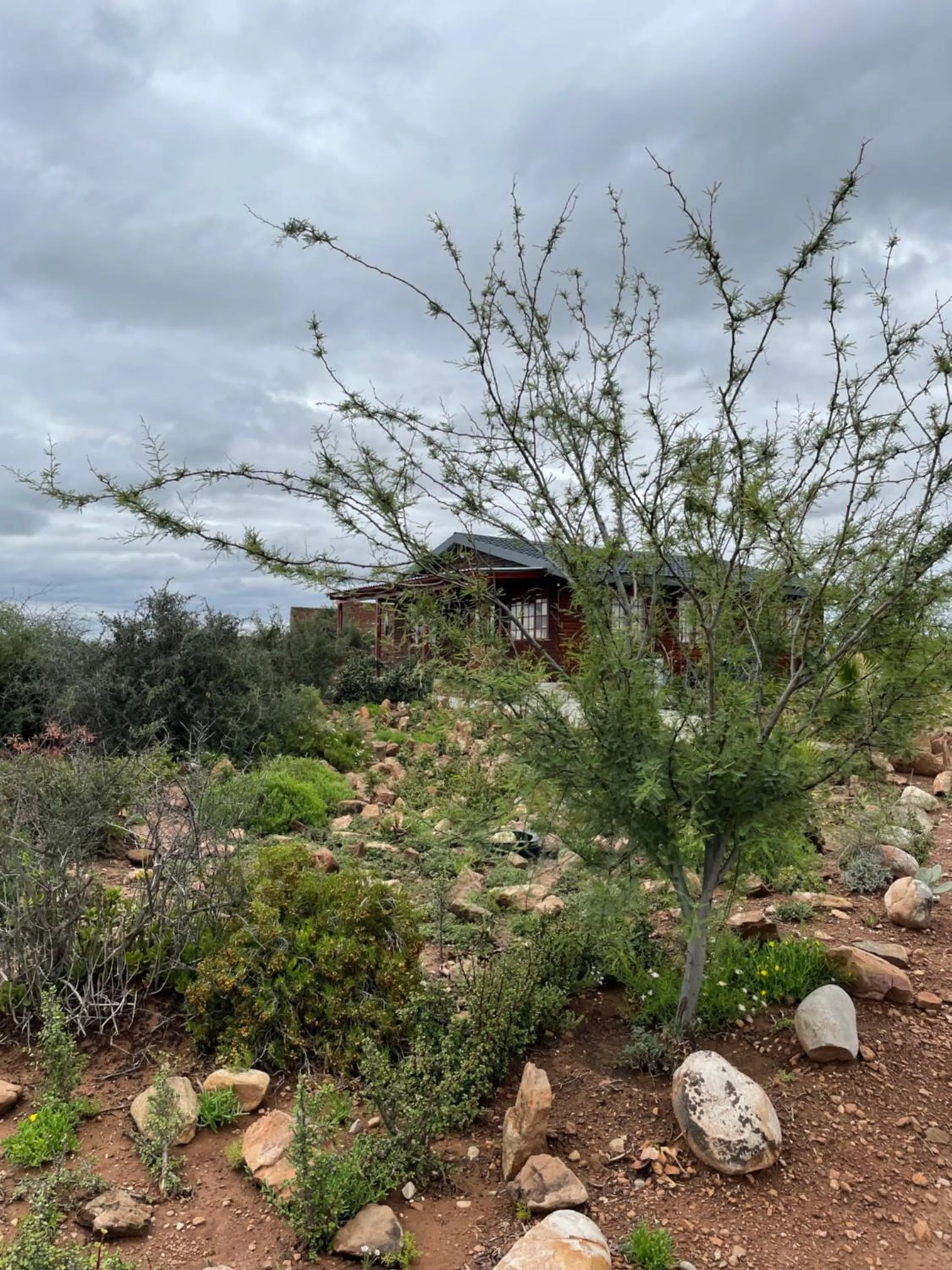 Property building in Klein Karoo Game Lodge