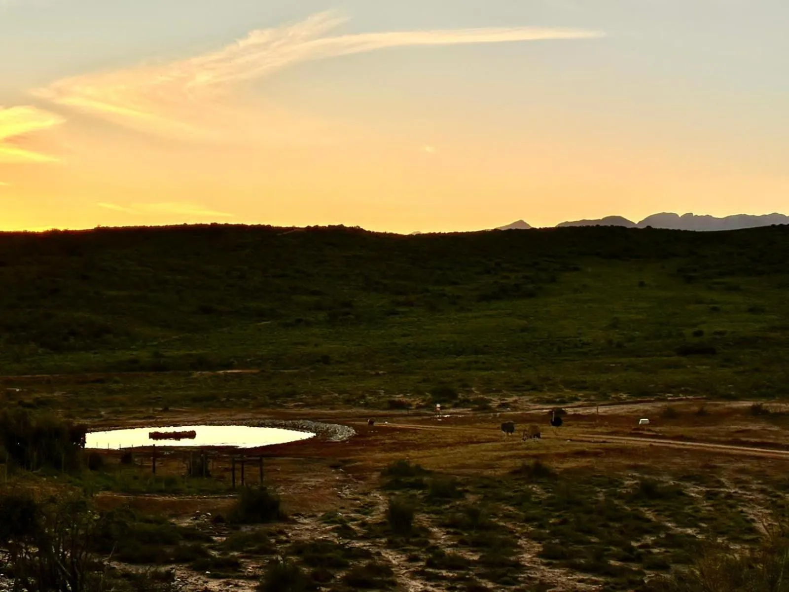 Natural landscape in Klein Karoo Game Lodge