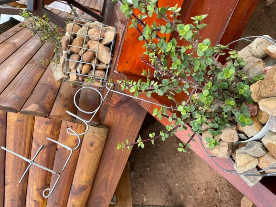 Decorative detail in Klein Karoo Game Lodge