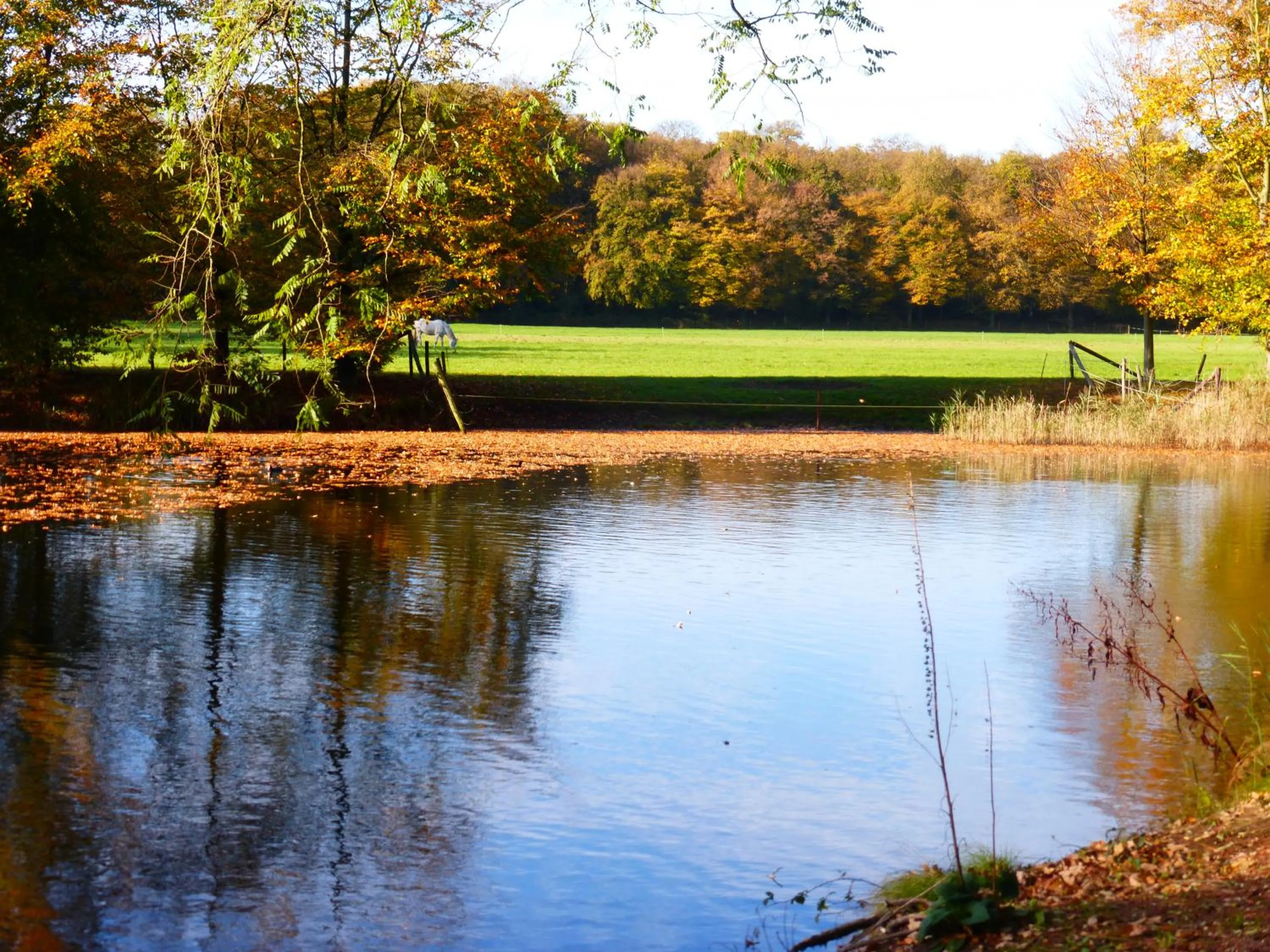 Property building in de zanderij