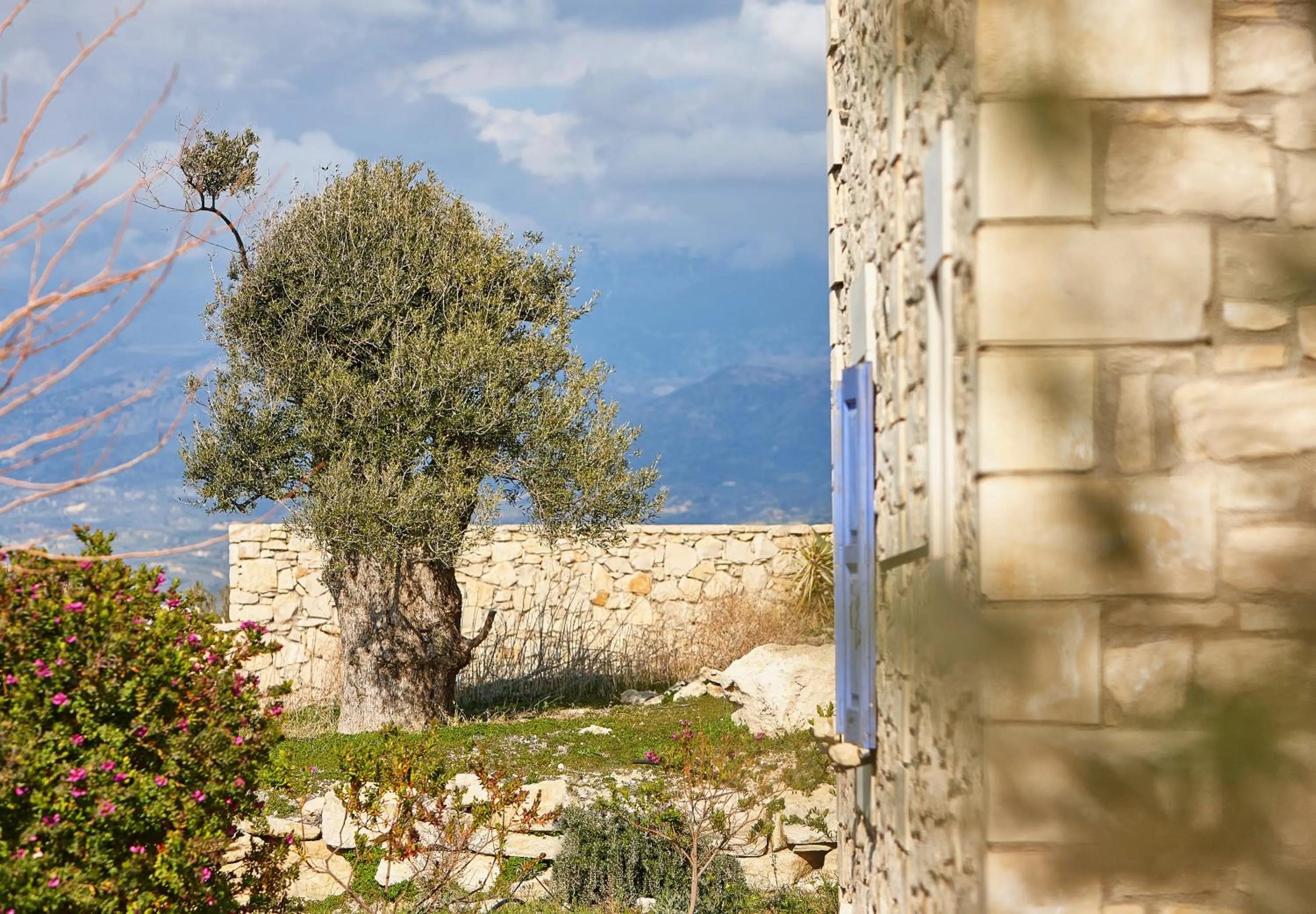 Spring in Orelia Cretan Deluxe Apartments