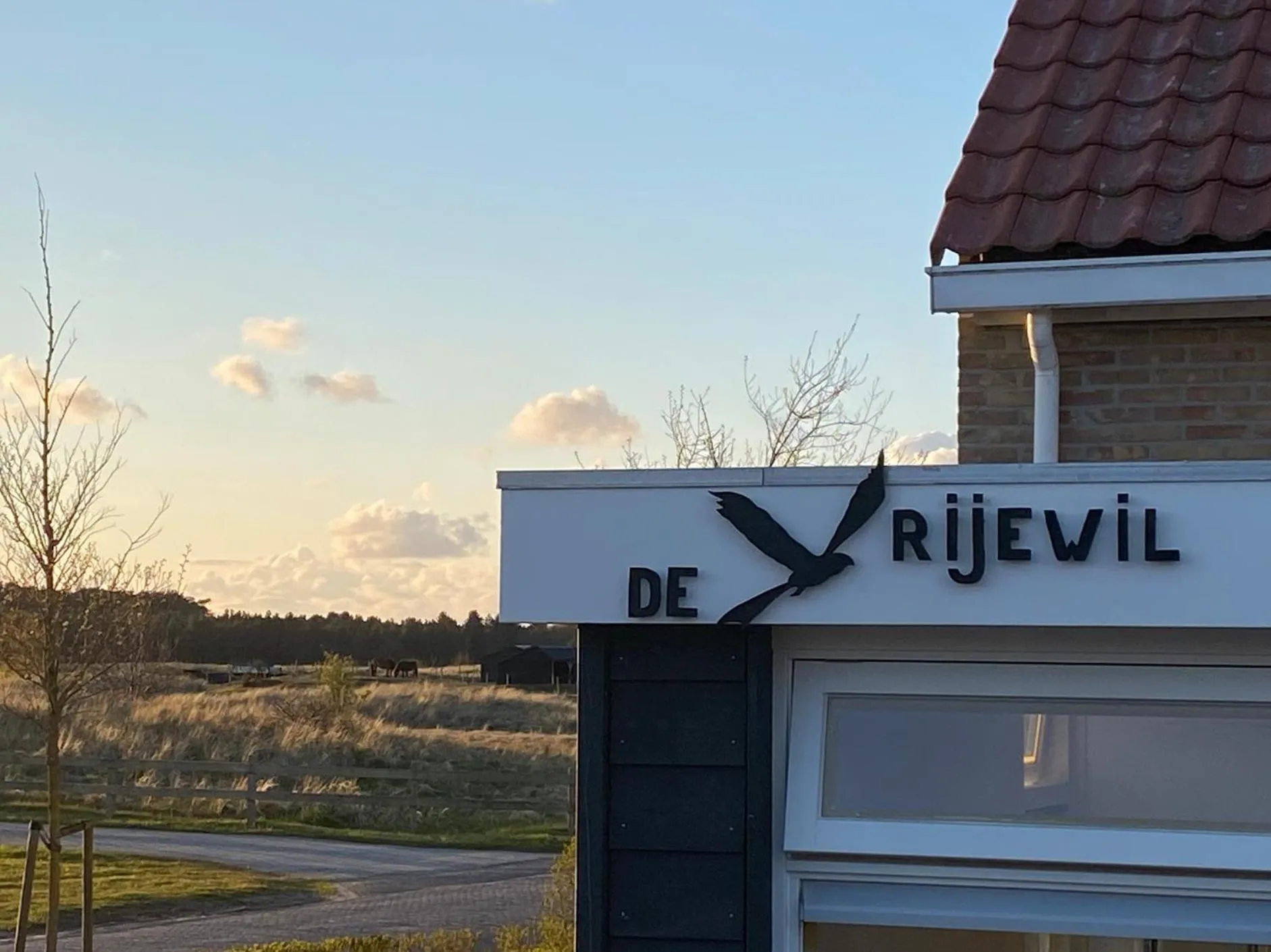 De Vrije wil