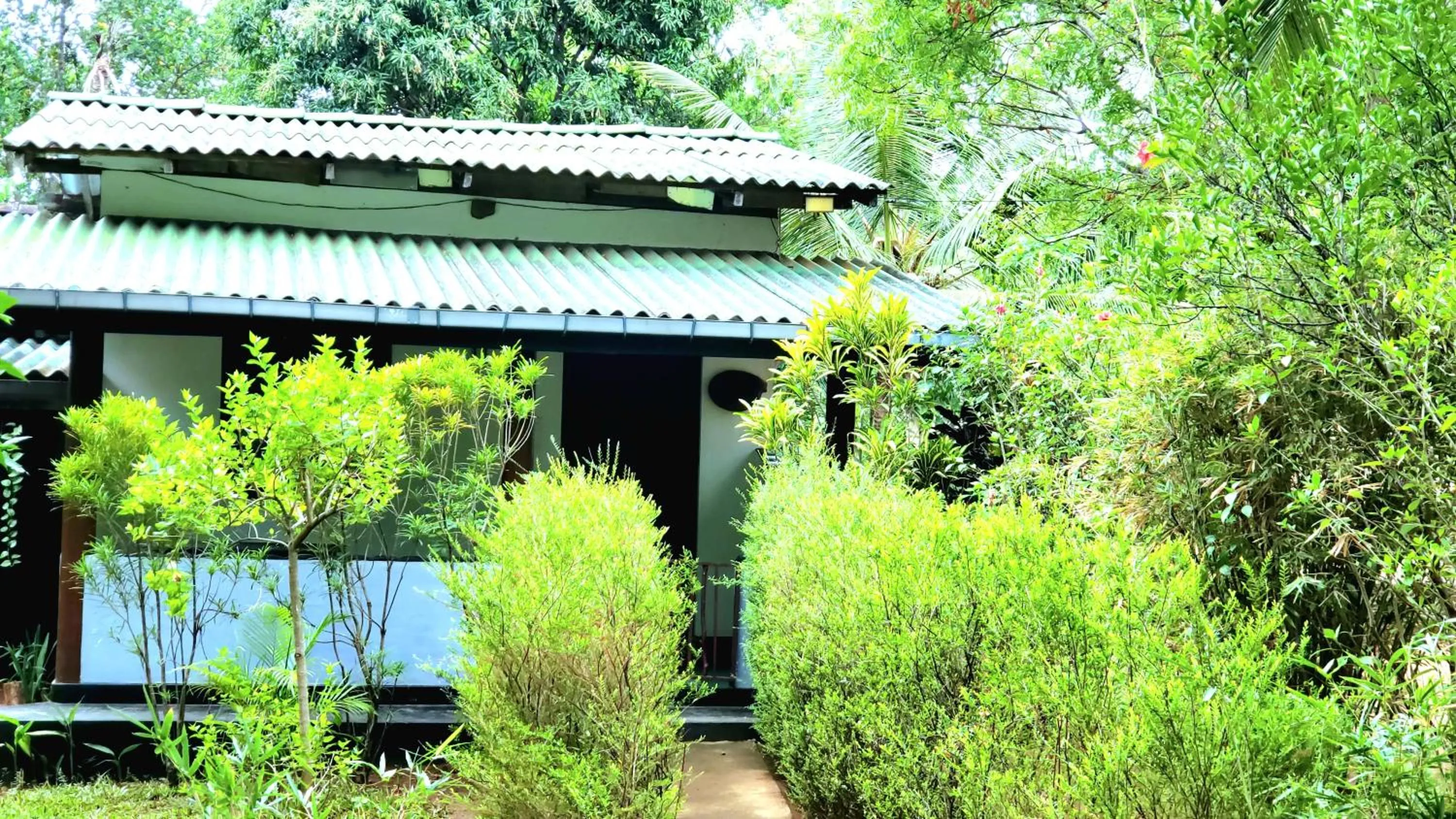 Garden view in Lakmal Resort Sigiriya