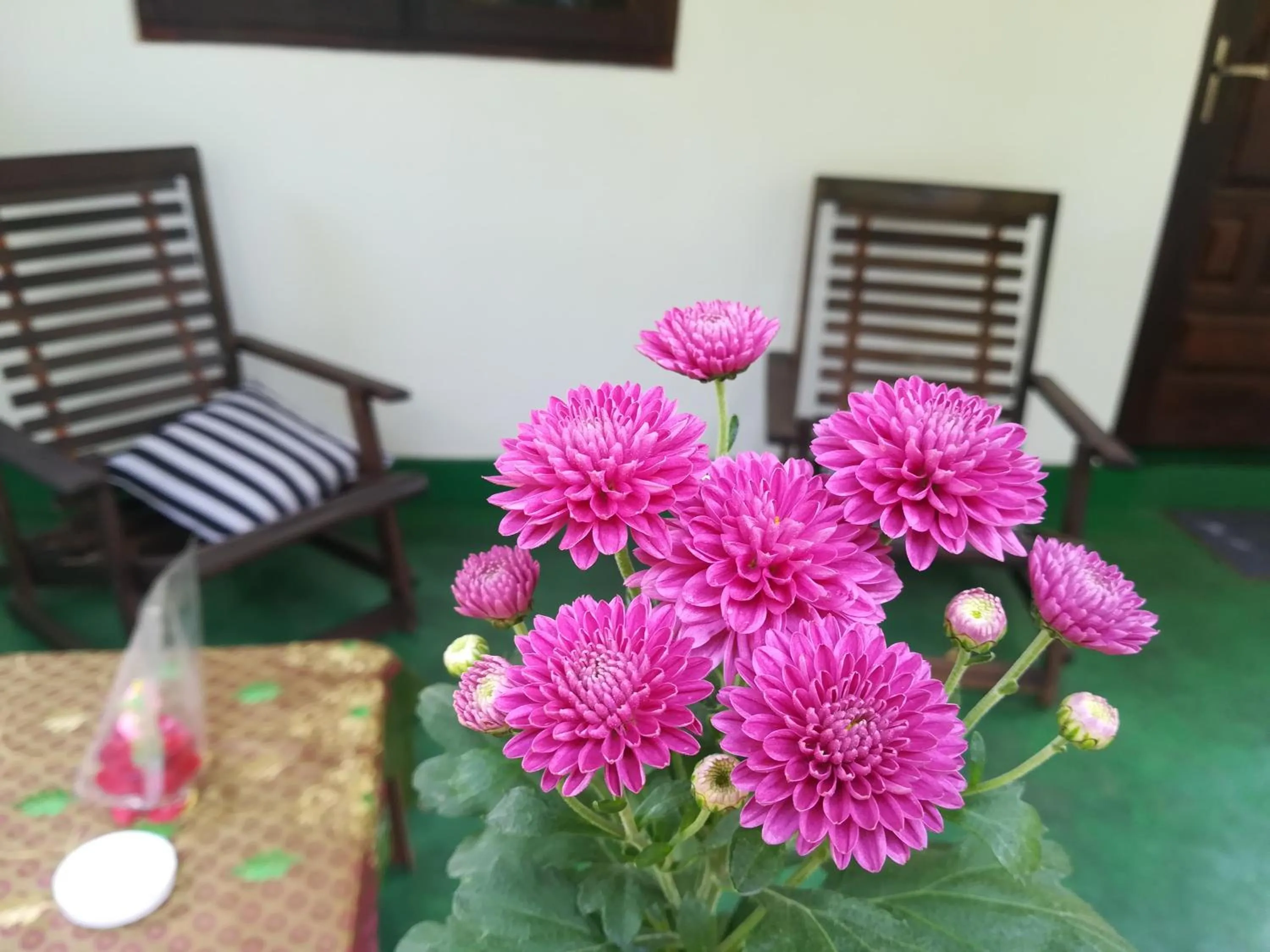 View (from property/room) in Lakmal Resort Sigiriya