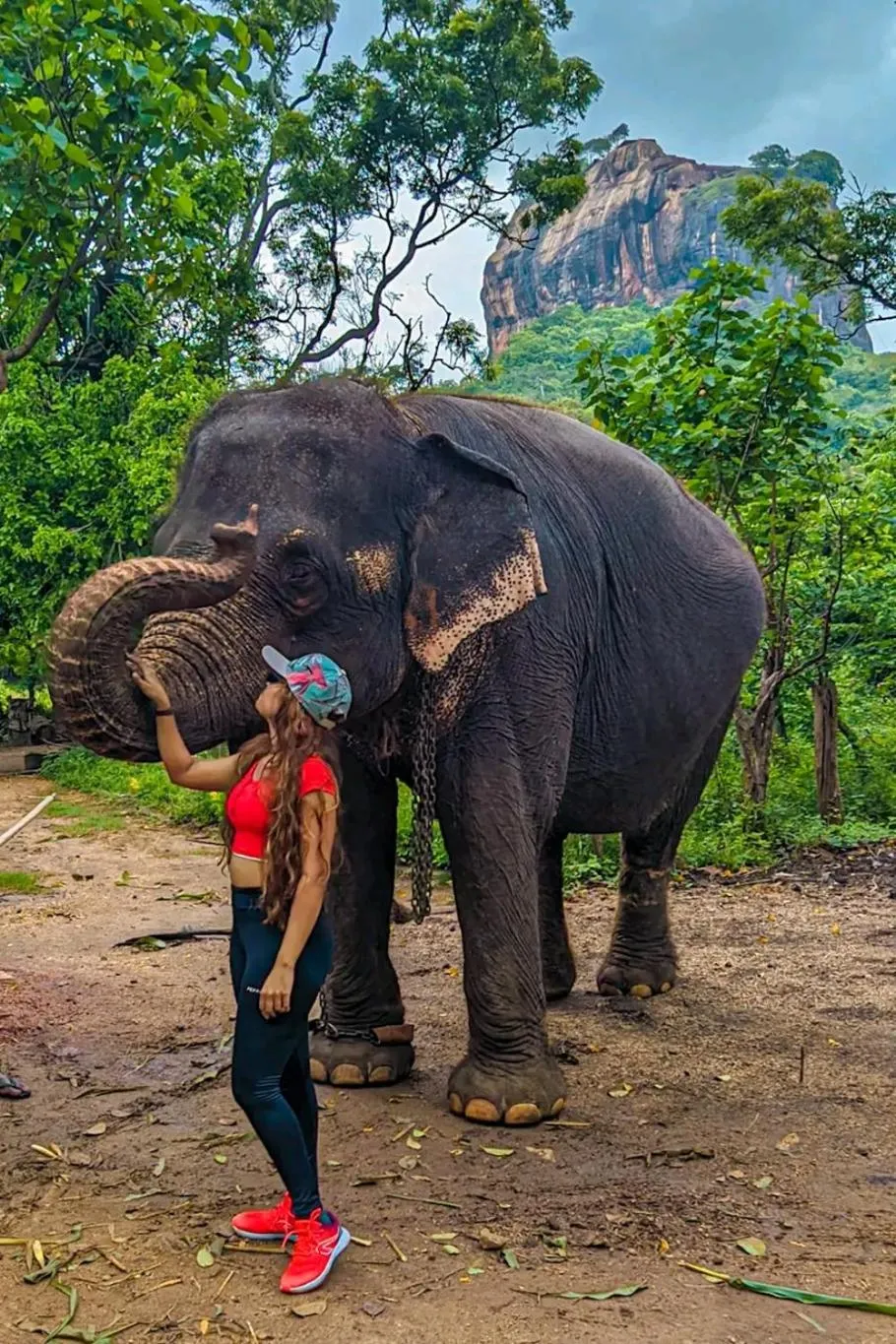 Animals in Lakmal Resort Sigiriya