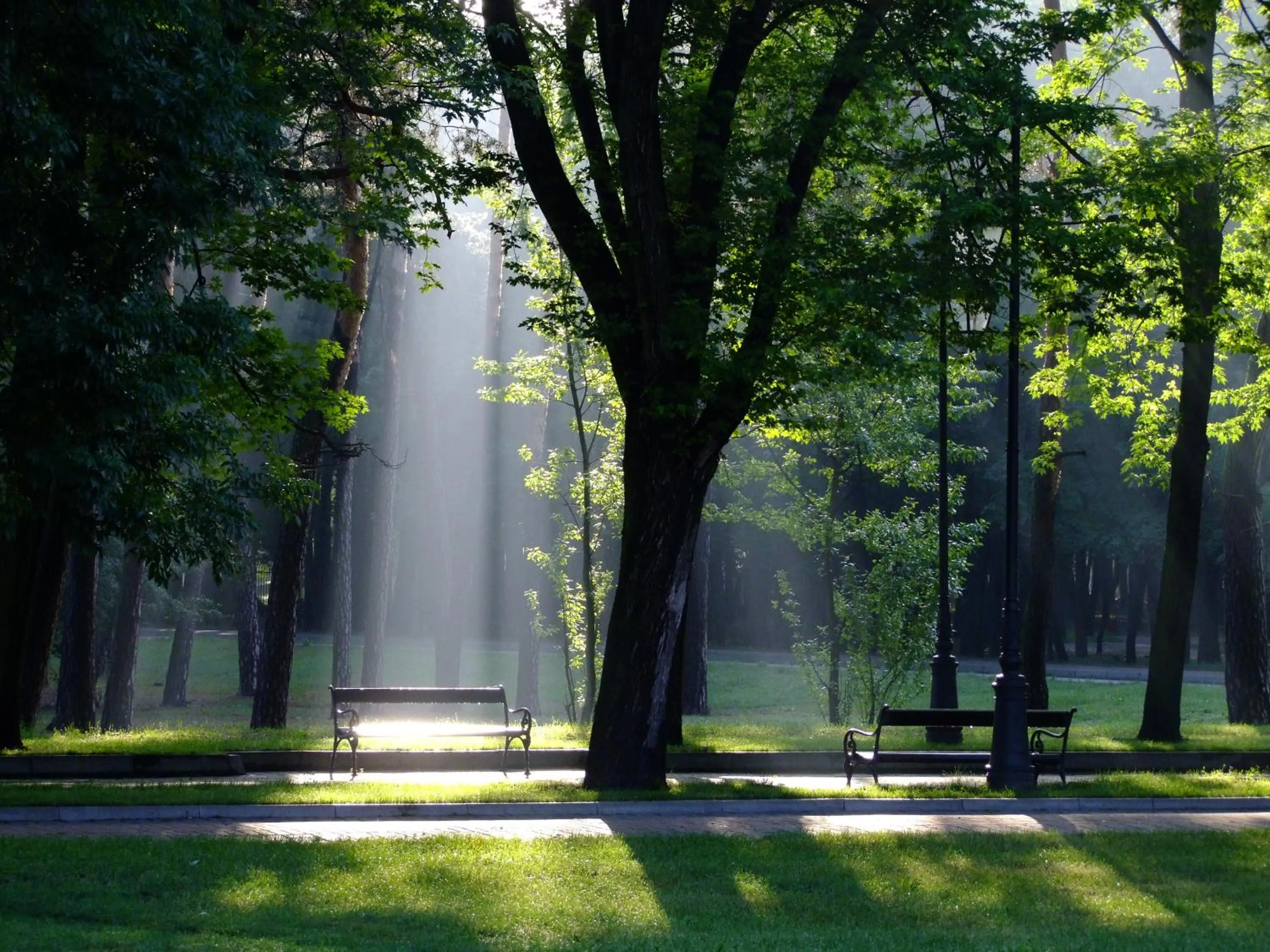 Natural landscape in Dworek Aleksandria