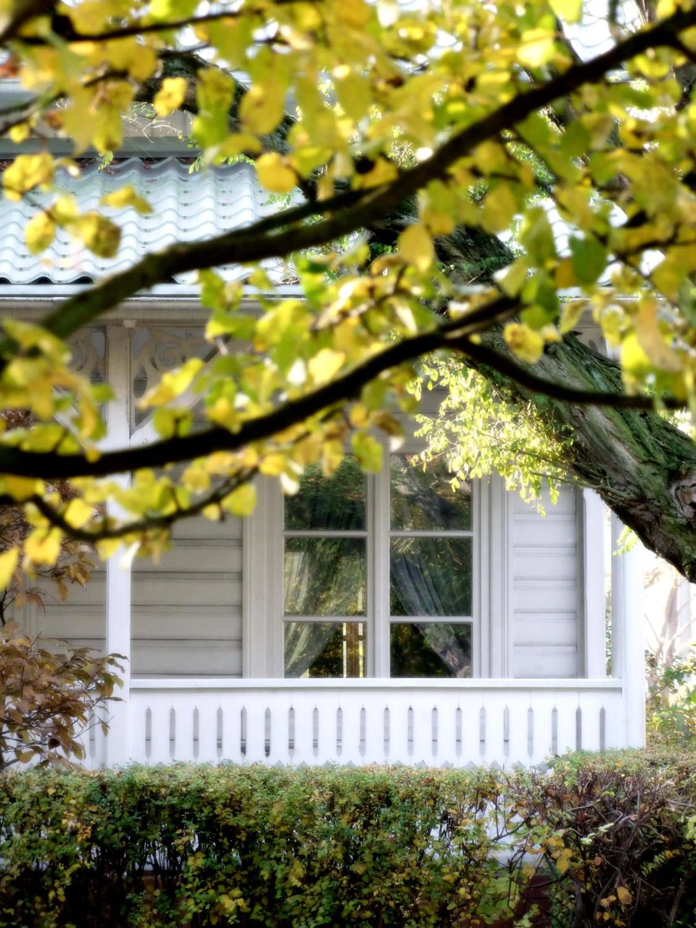 Property building in Dworek Aleksandria