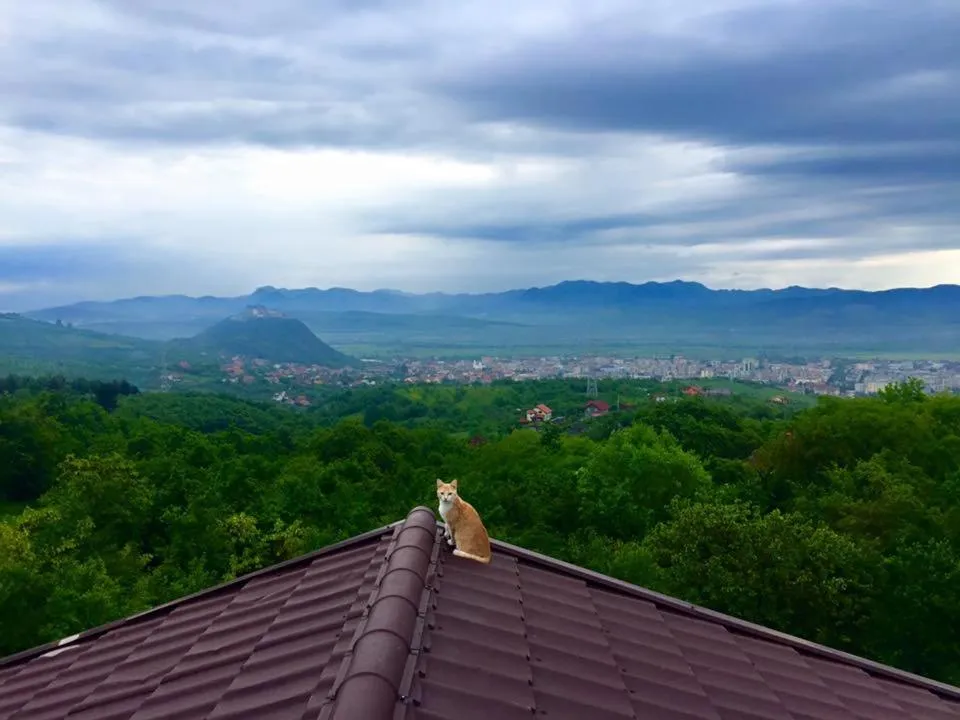 Property building in Hanu lu Mos Opinca