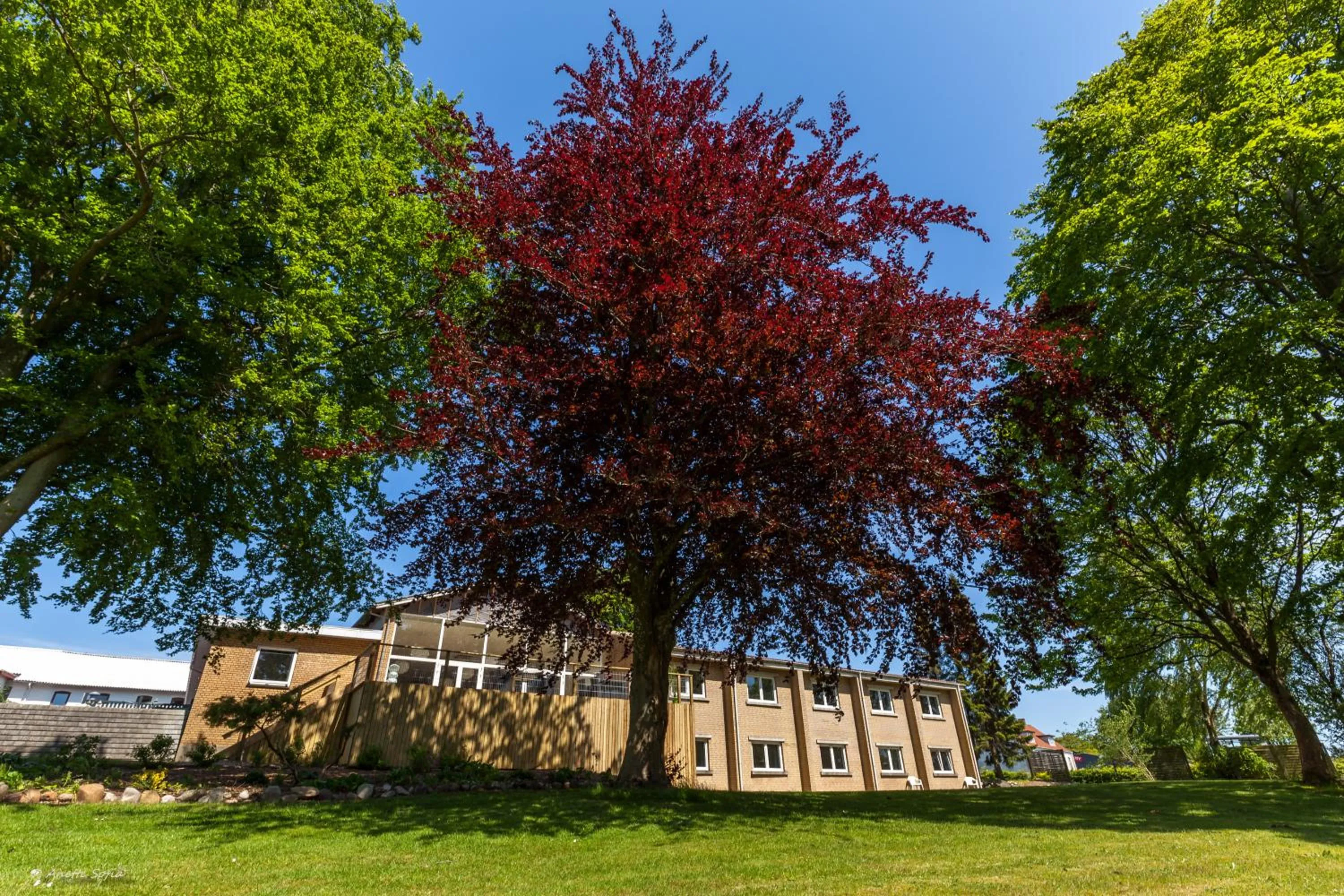 Garden view in Sdr. Omme Kro & Hotel