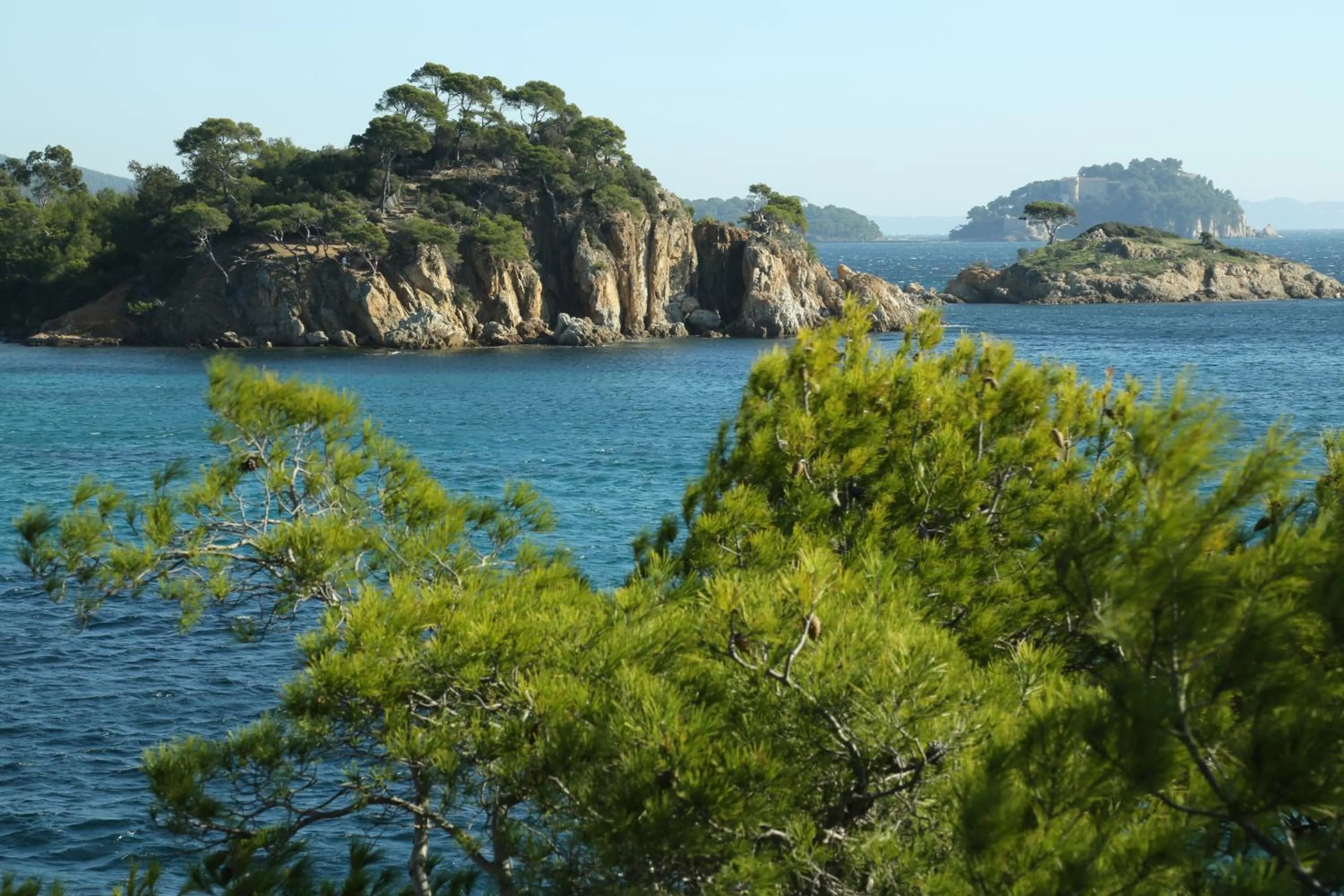 Location Corsica