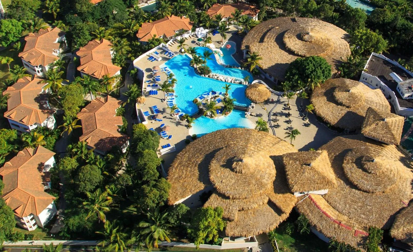 Area and facilities in Cofresi Palm Beach & Spa Resort - All Inclusive