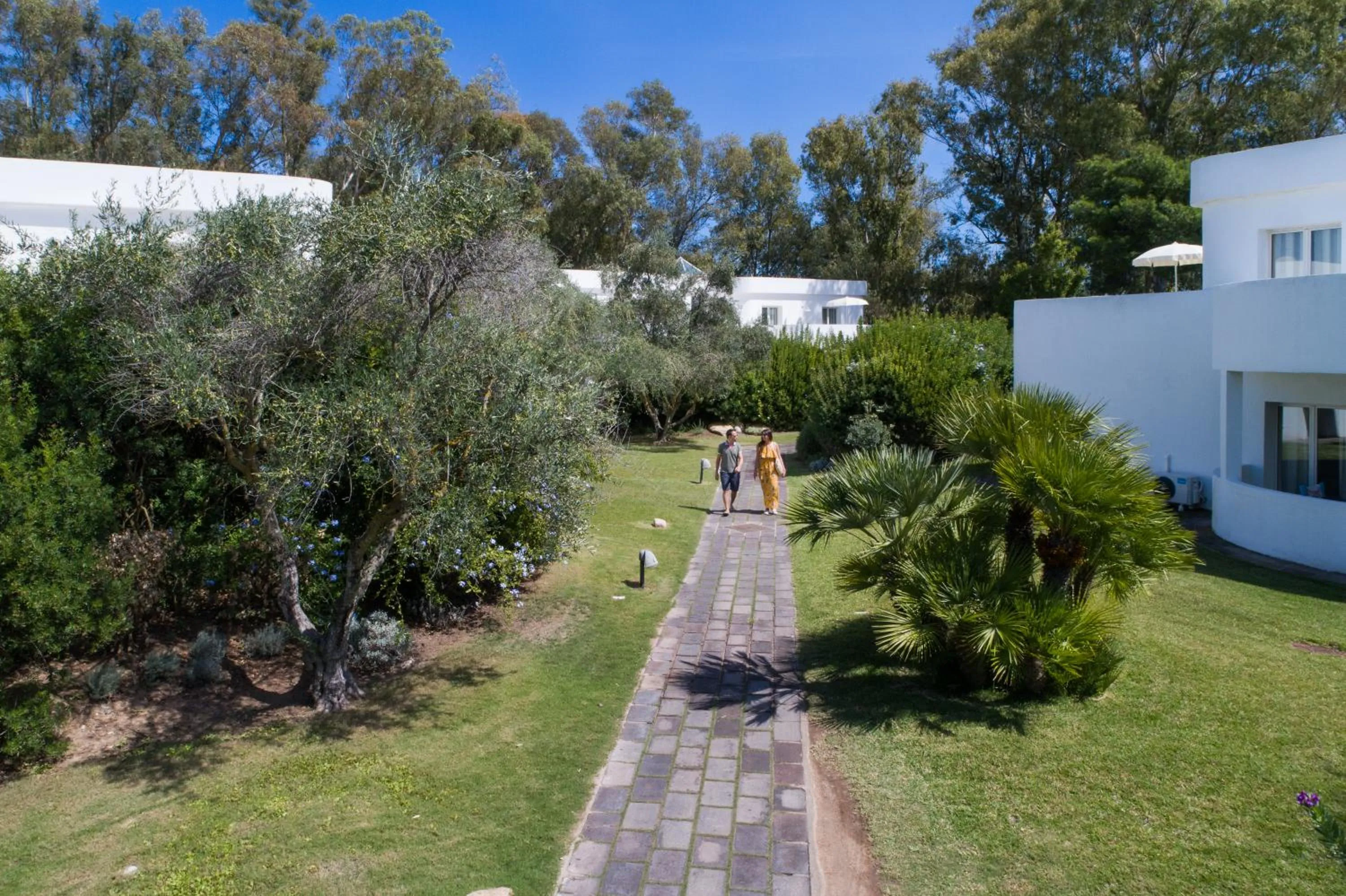Garden view in Hotel Flamingo