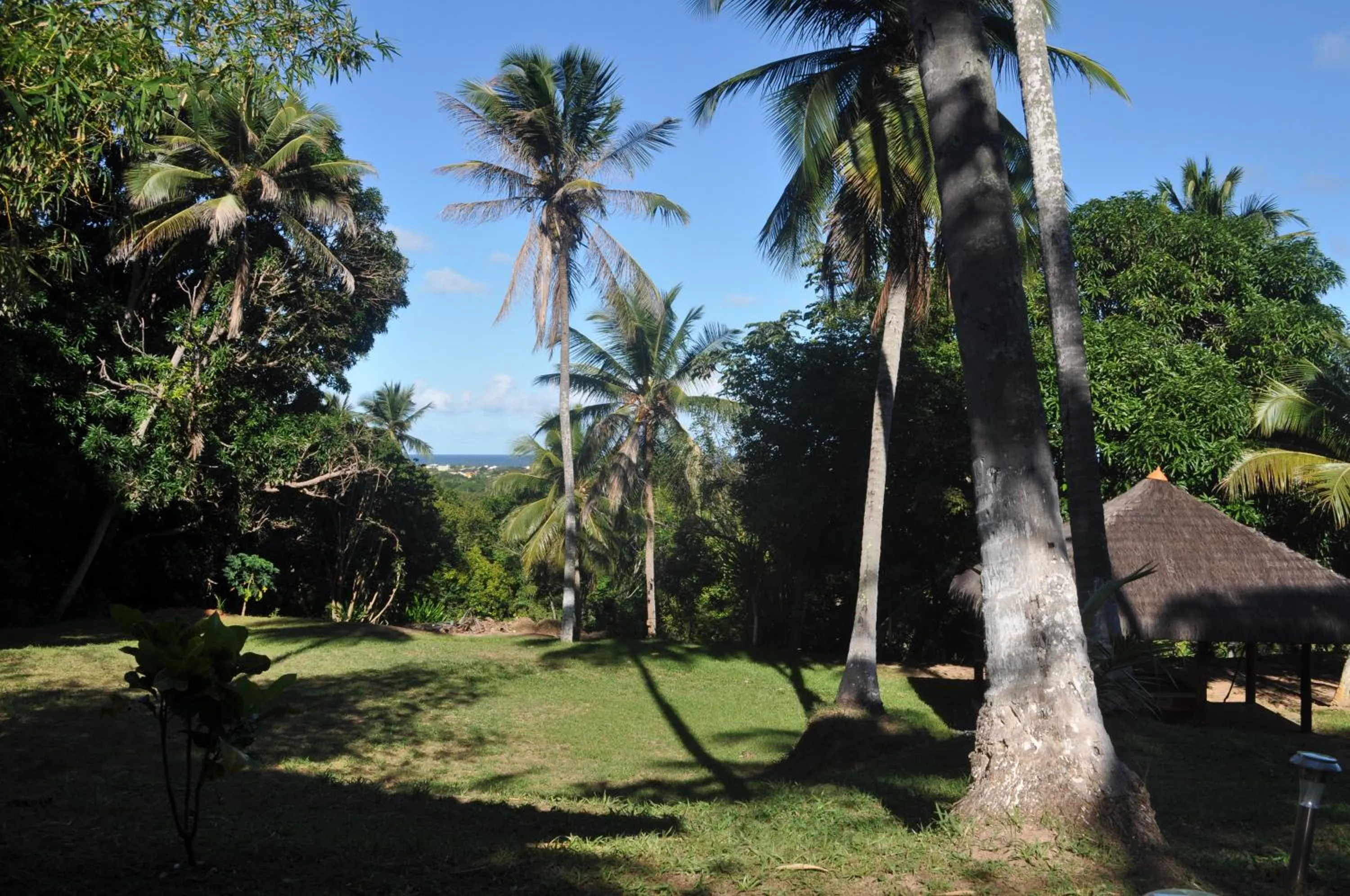 Garden view in Sitio Os Tres