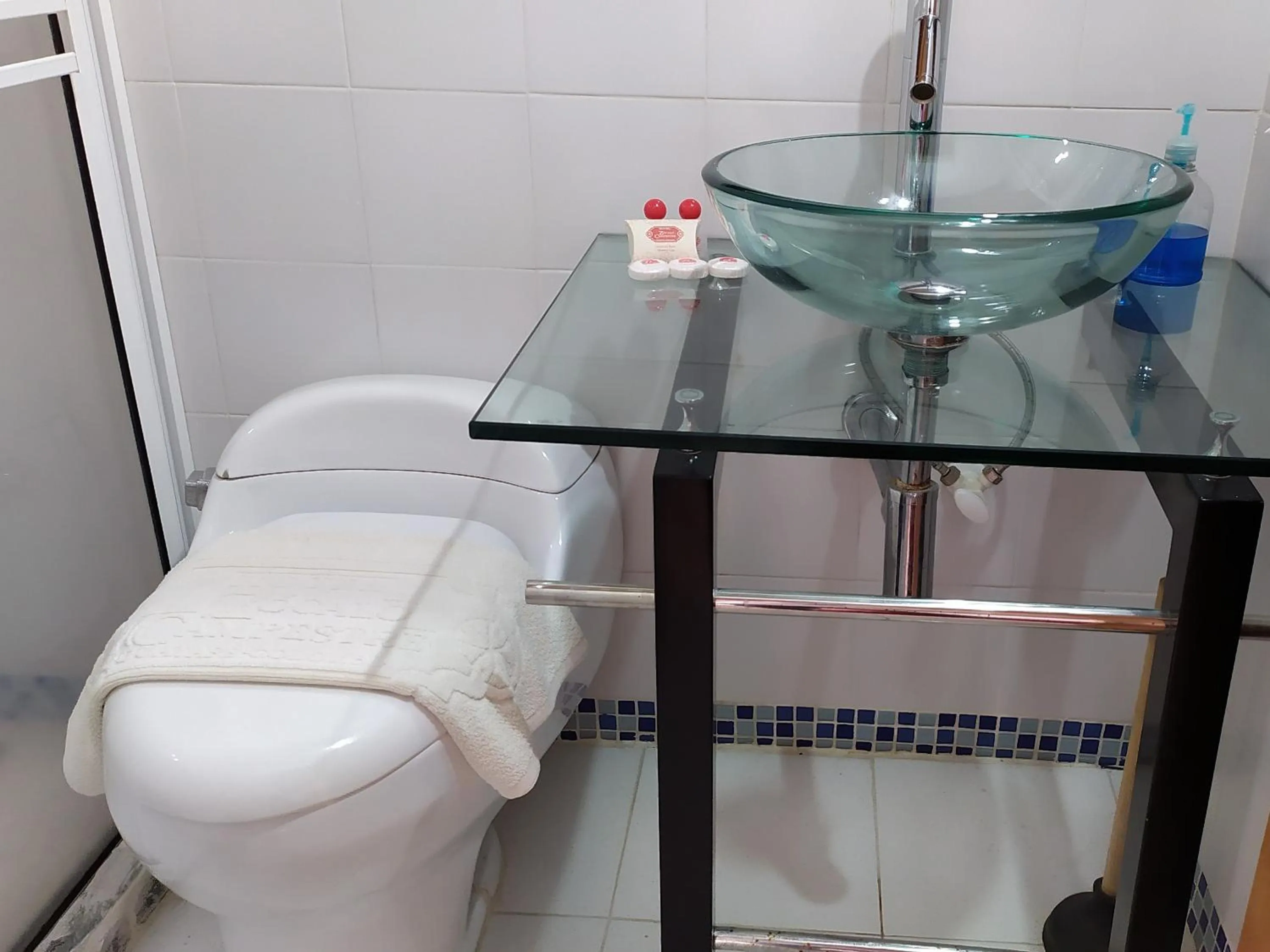 Bathroom in Hotel Zocalo Campestre