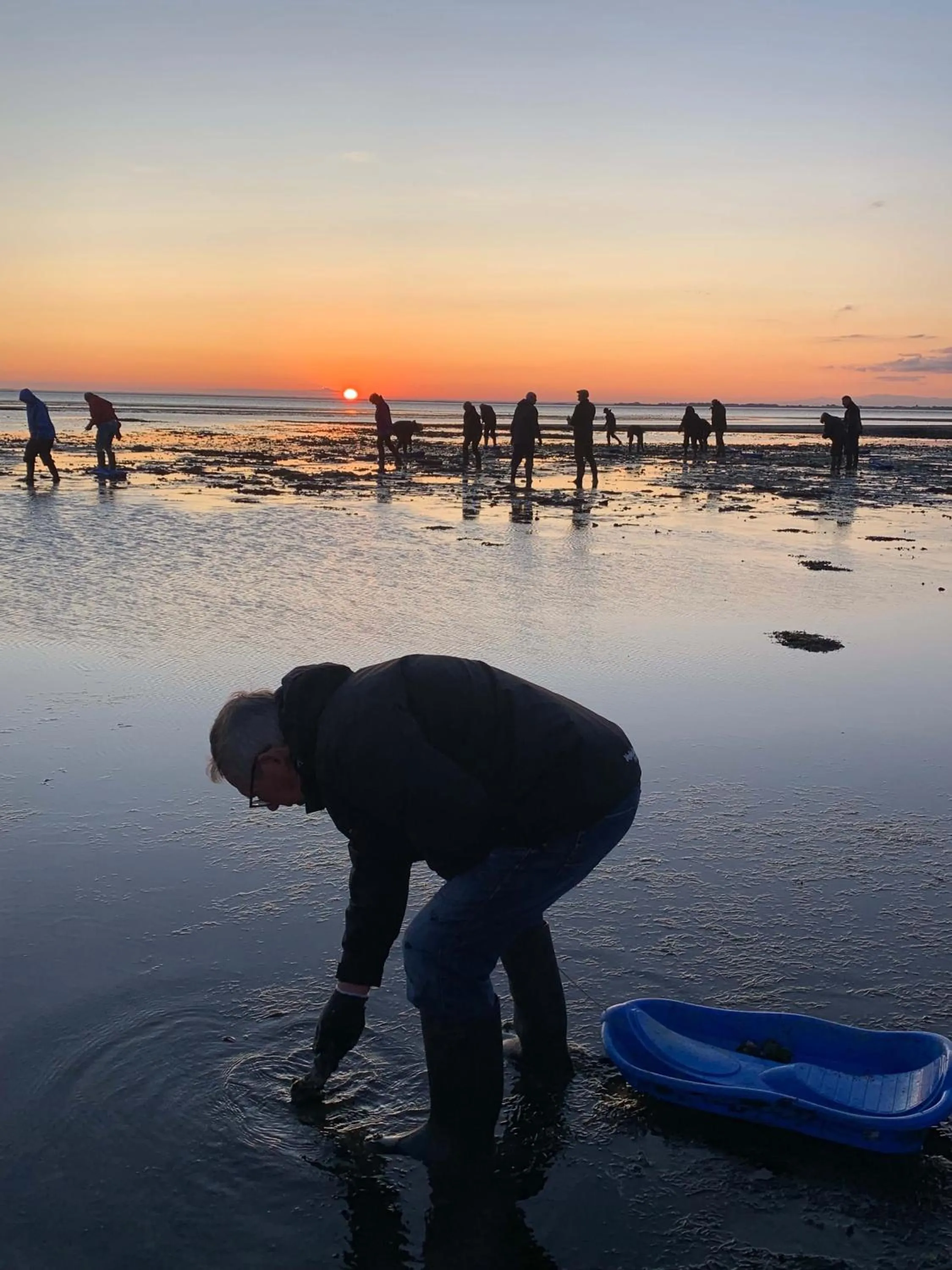 Entertainment in Hotel Kommandørgården