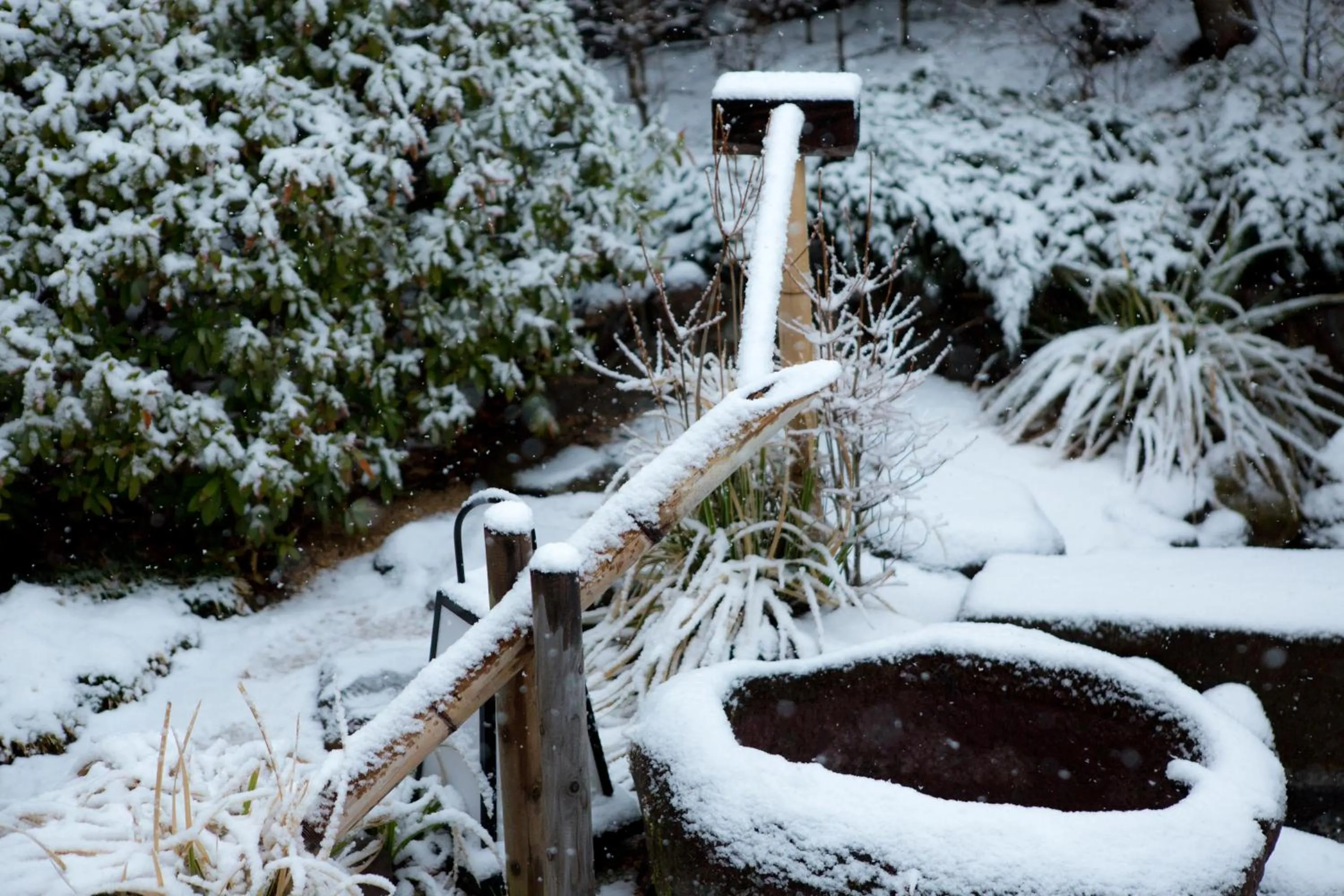 Winter in Sui Suwako