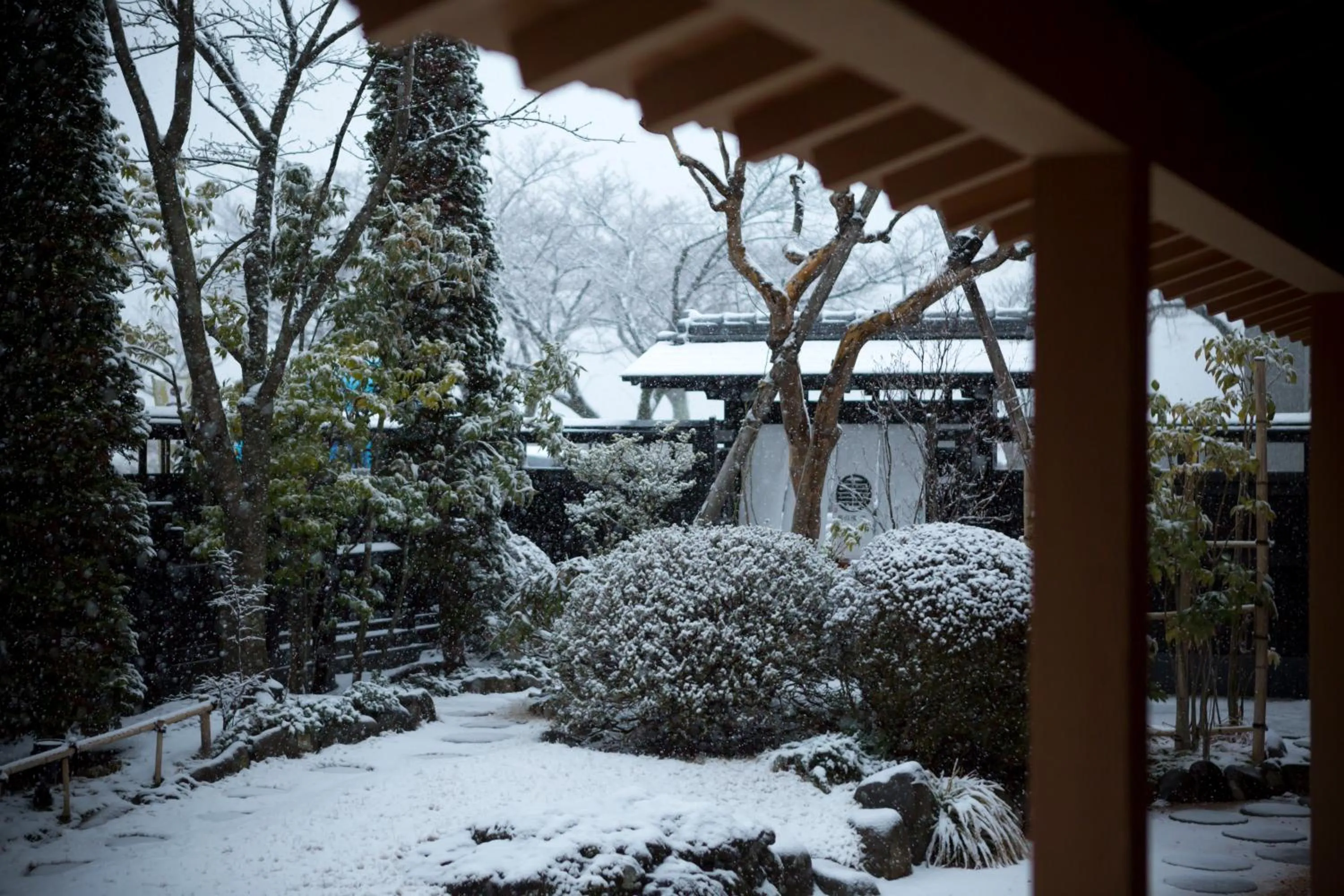Winter in Sui Suwako