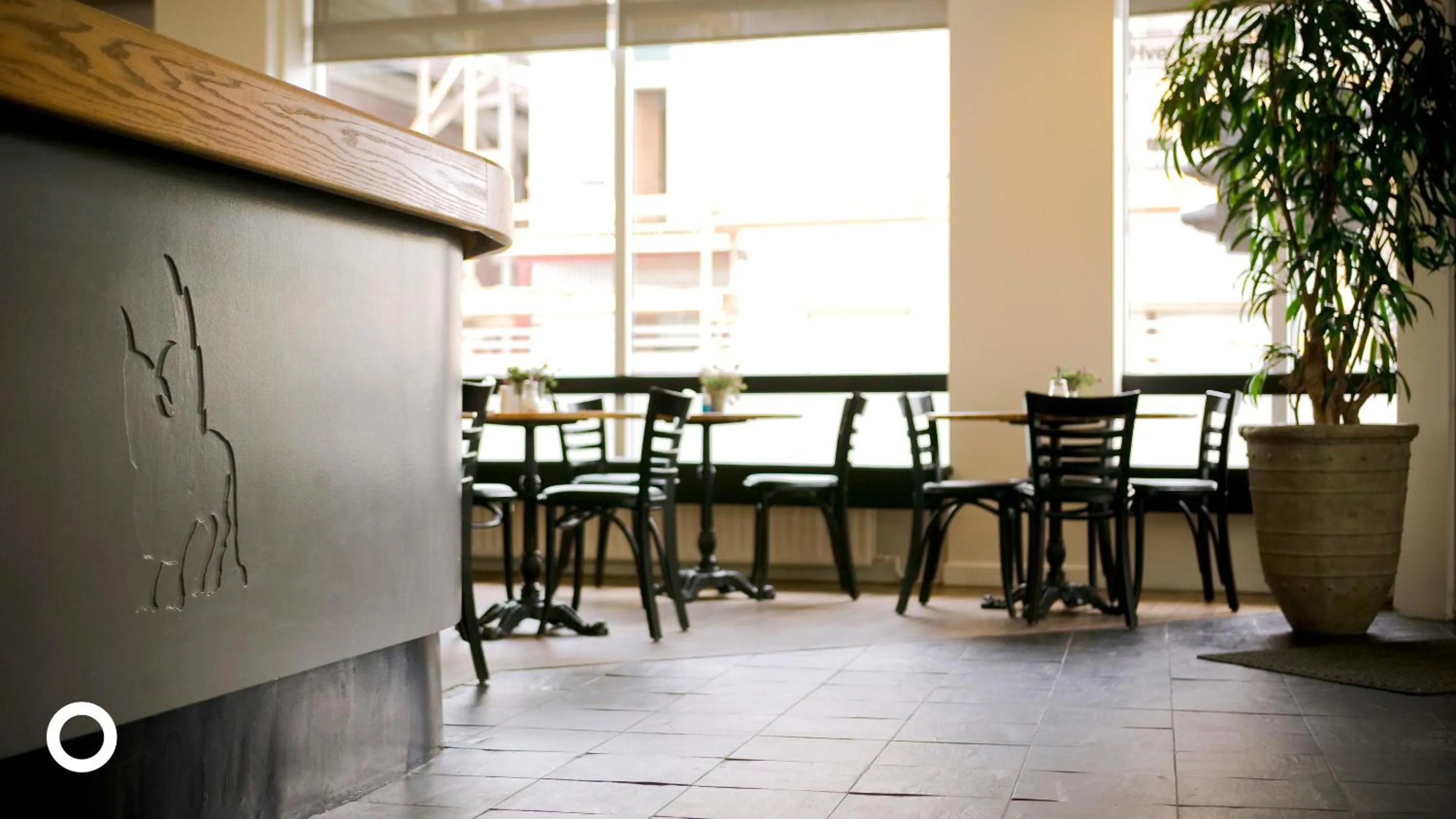 Lounge or bar in Center Hotels Klopp