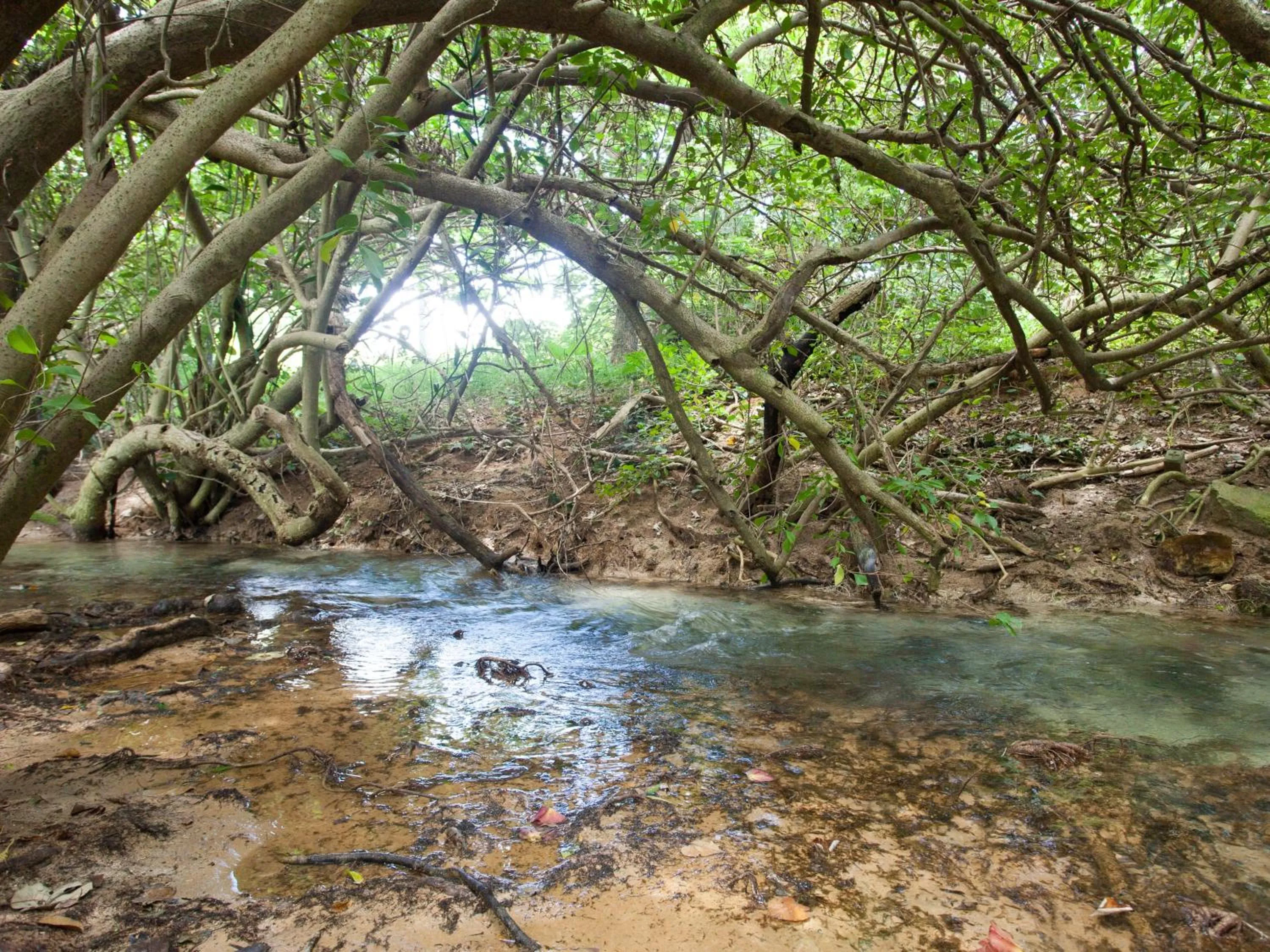 Nearby landmark in Pool Villa Imadomari by Coldio Premium
