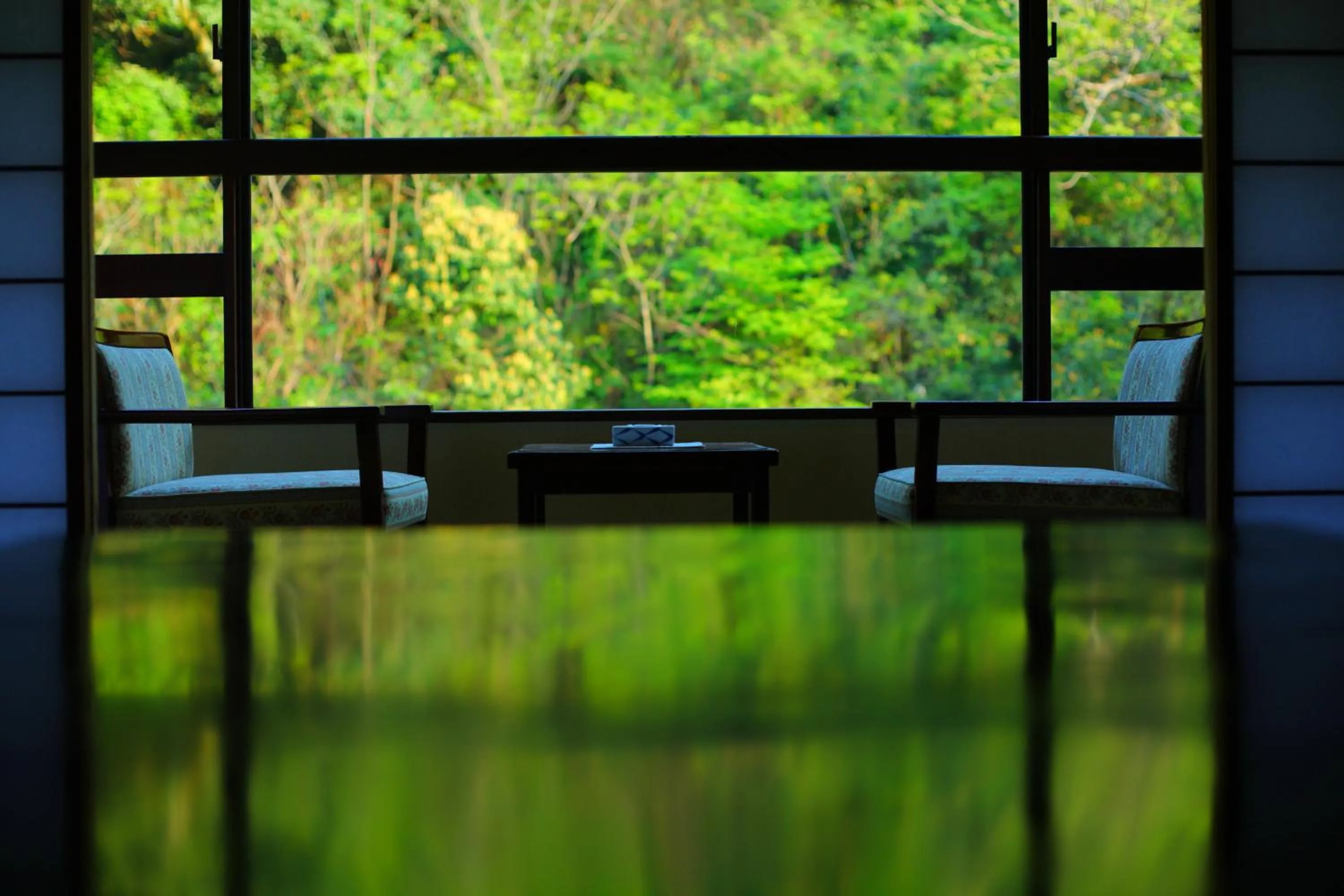 View (from property/room) in Yamanakaonsen Ohanami Kyubei
