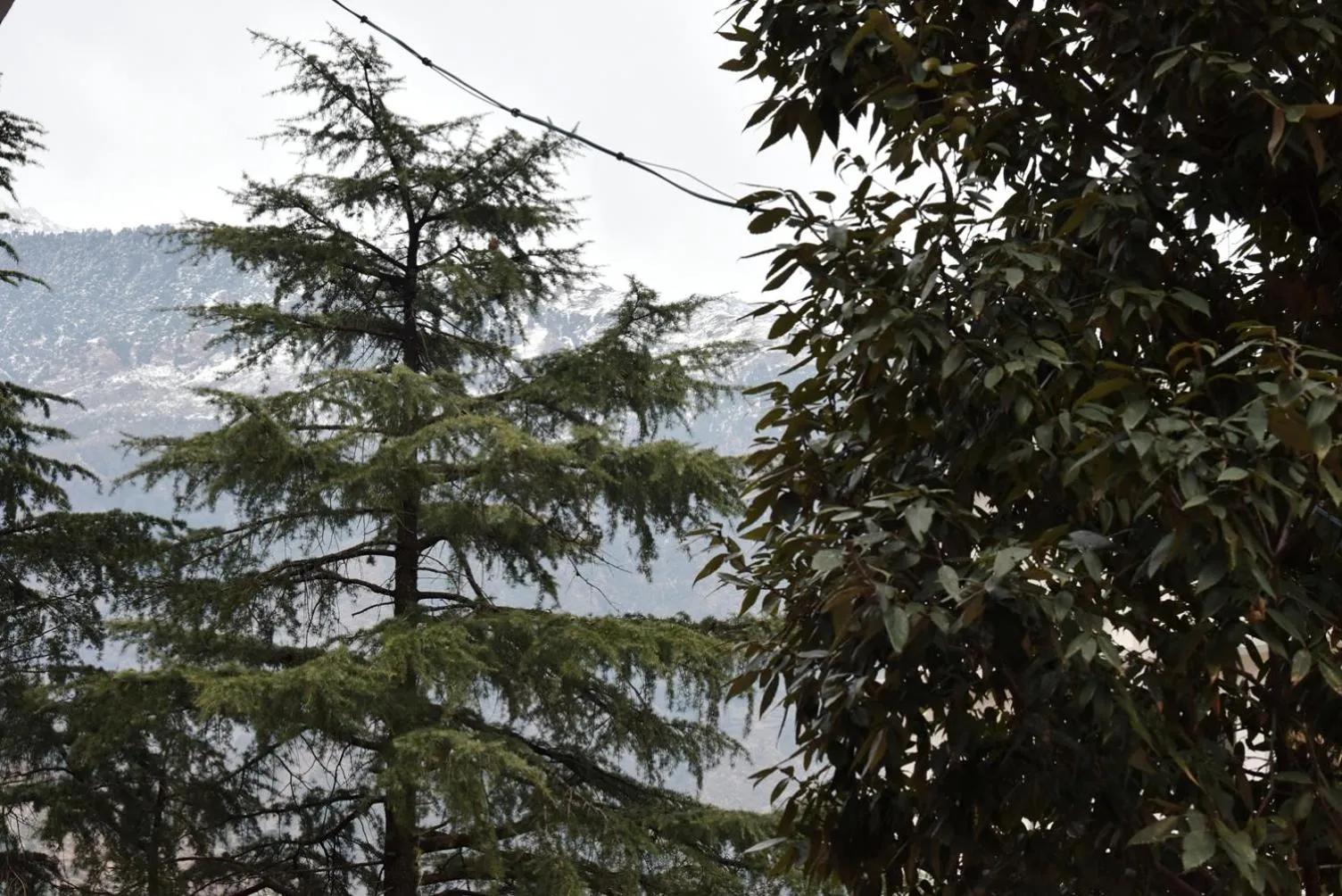 Hotel Akash - Luxury Hotel In McLeodganj