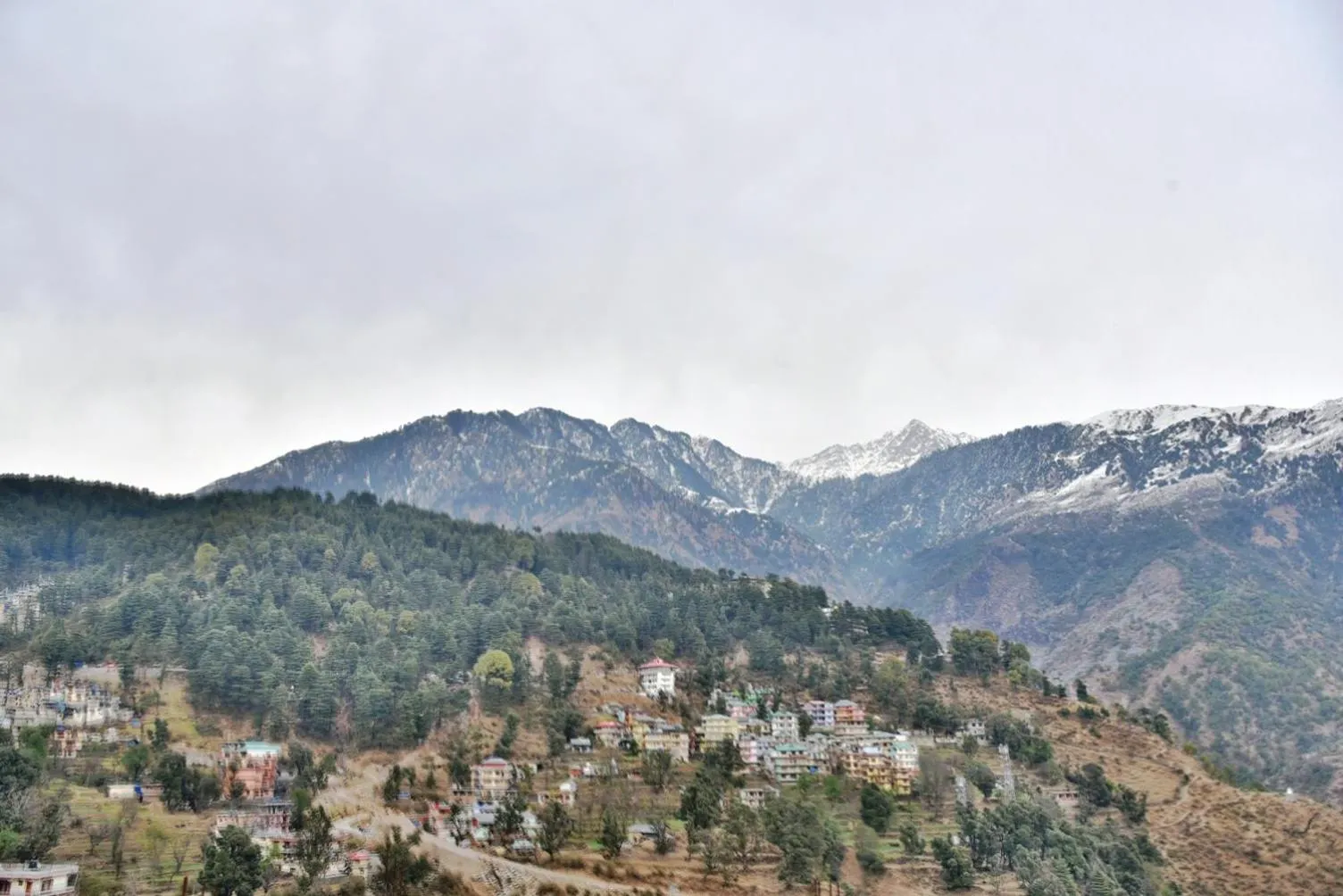 Hotel Akash - Luxury Hotel In McLeodganj