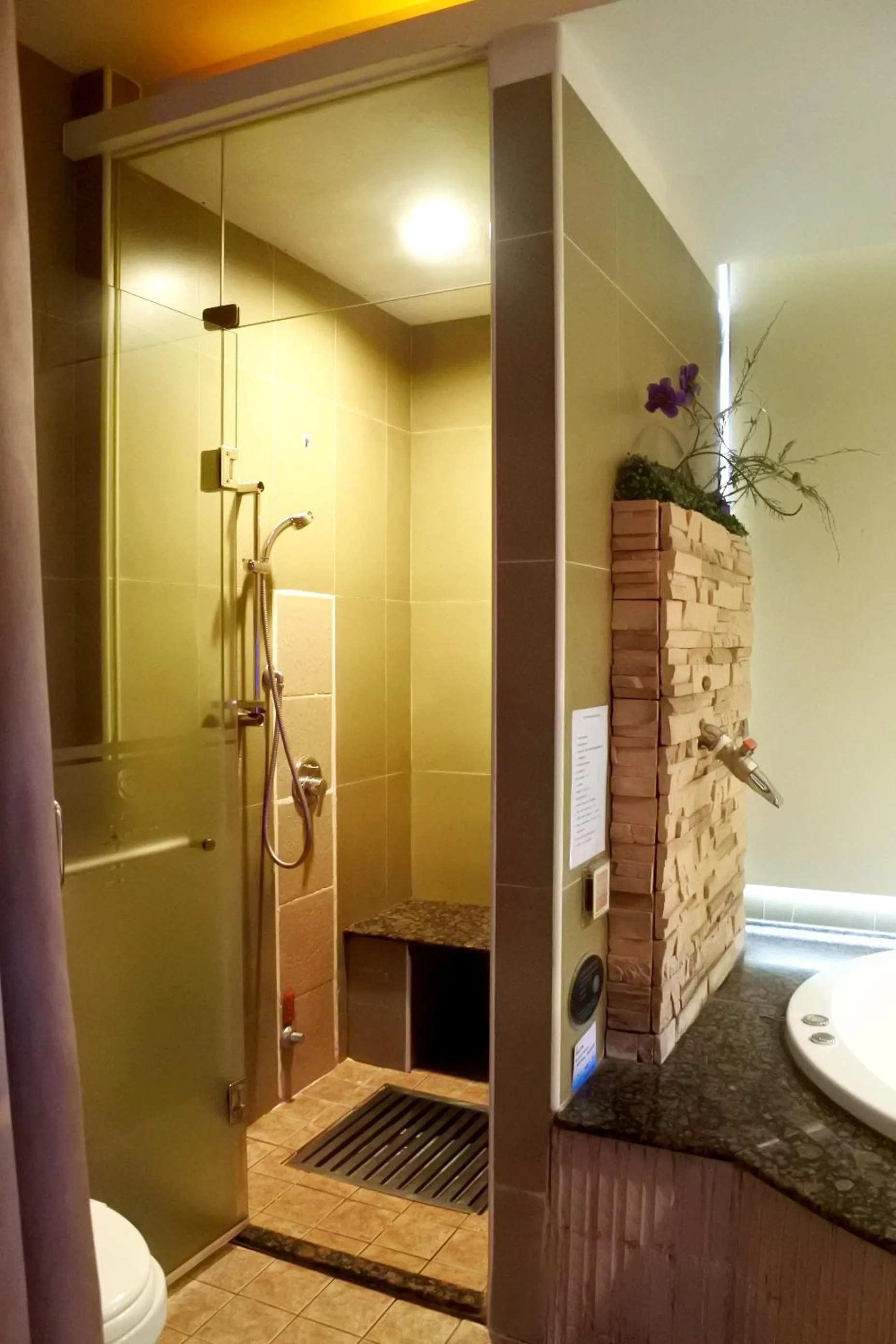 Shower in North Country Motel