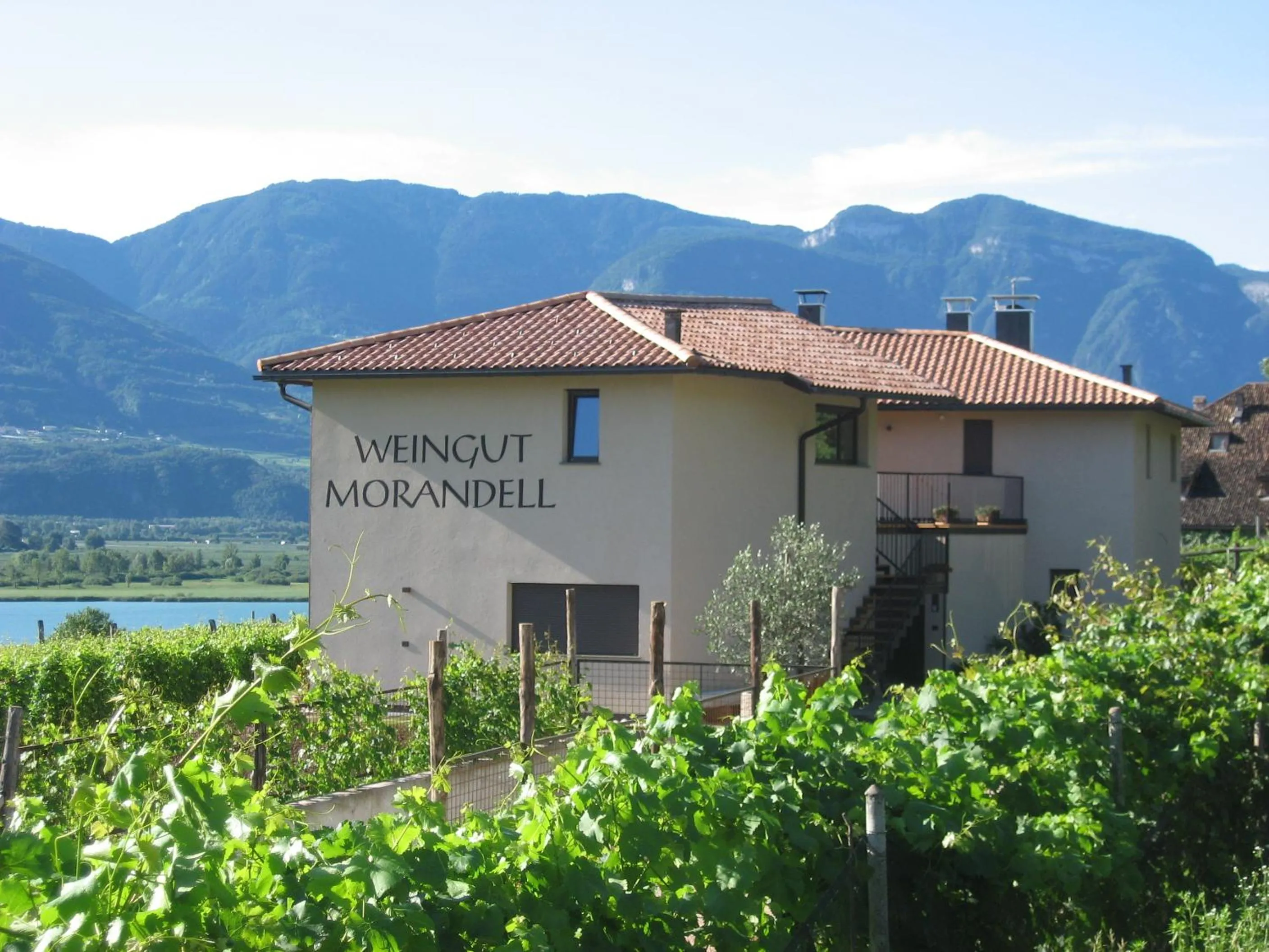 Weingut Morandell