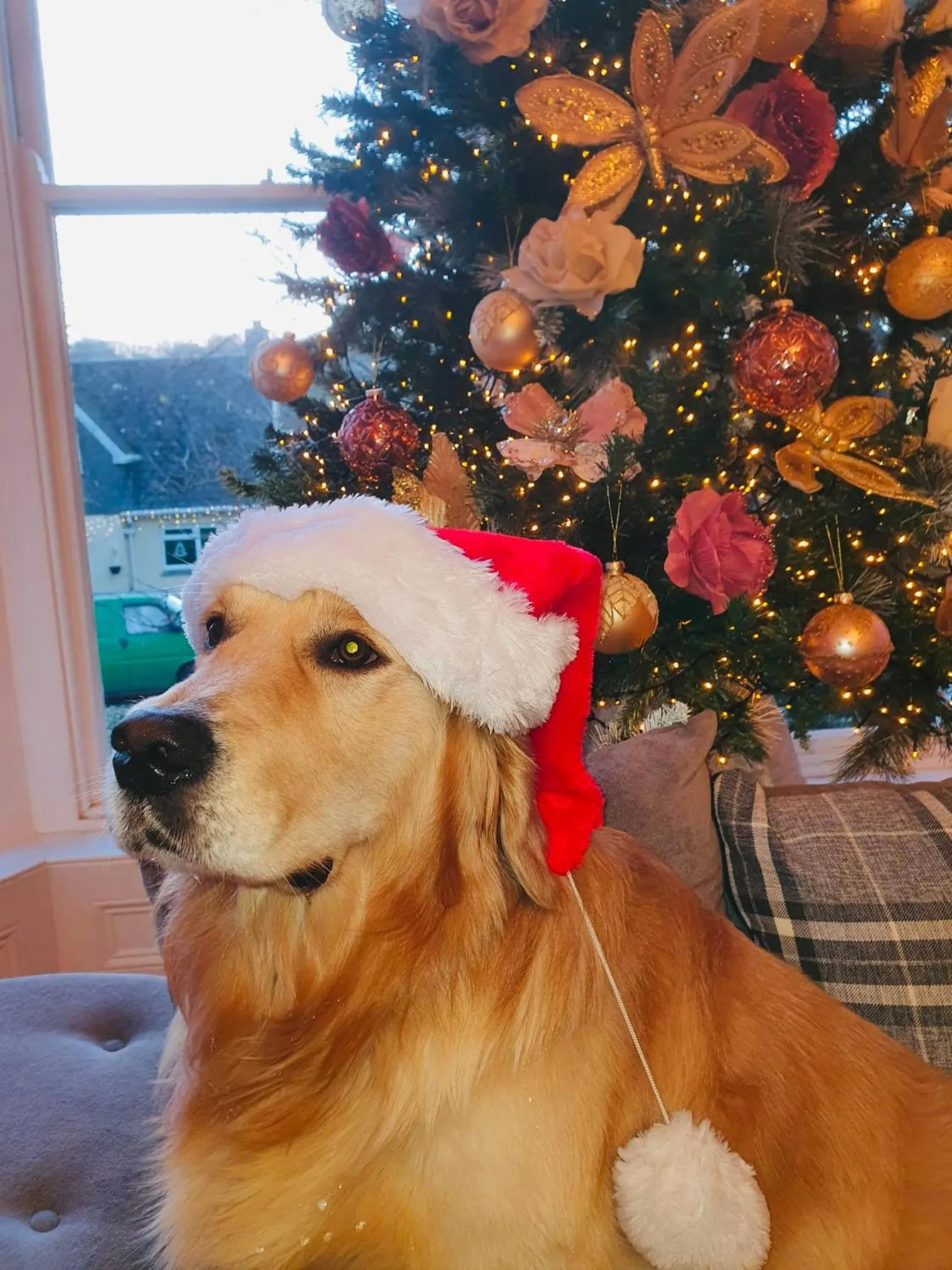 Property building in Holbein House