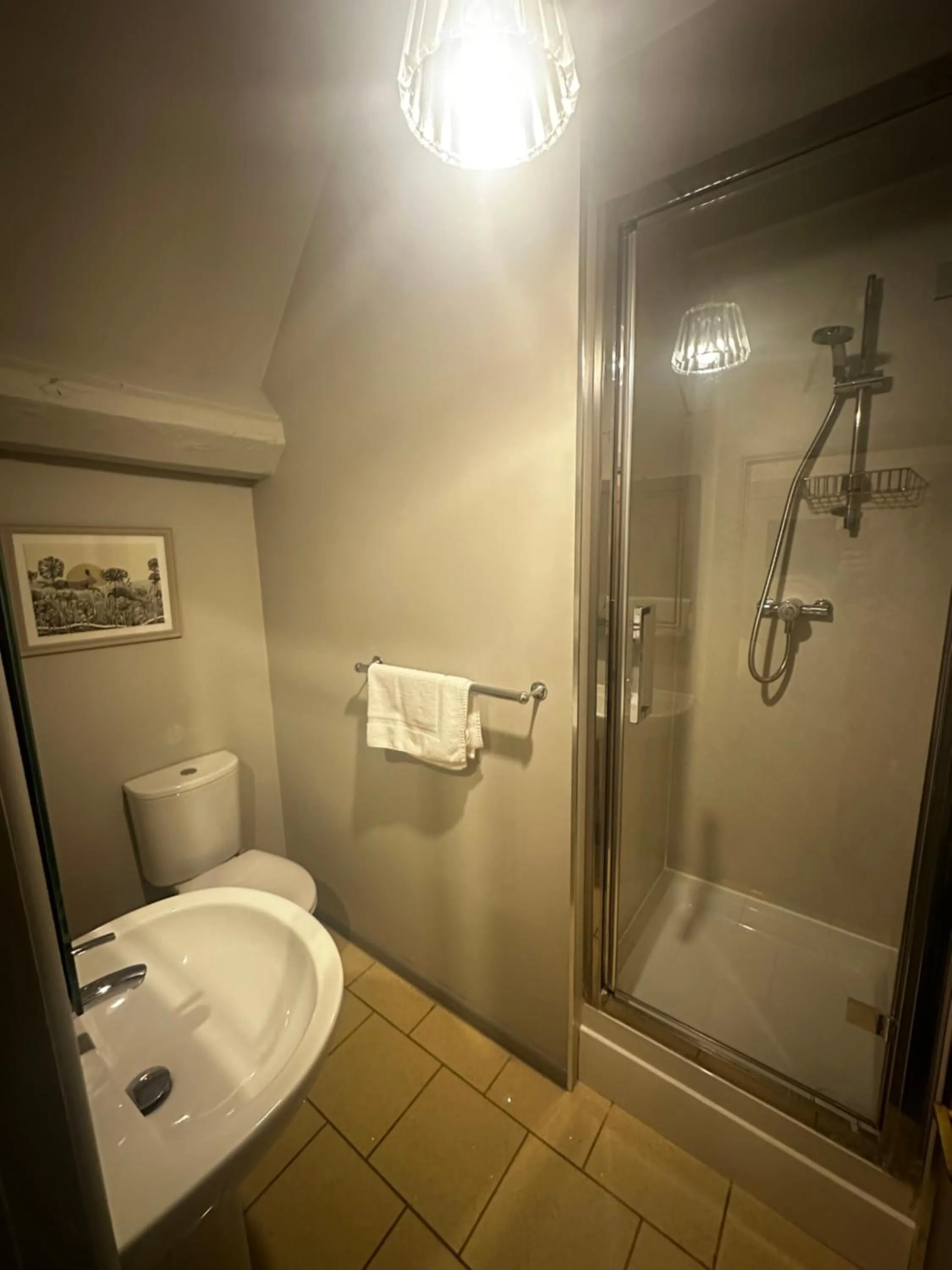 Bathroom in The Ancient Gatehouse & Rugantino Restaurant