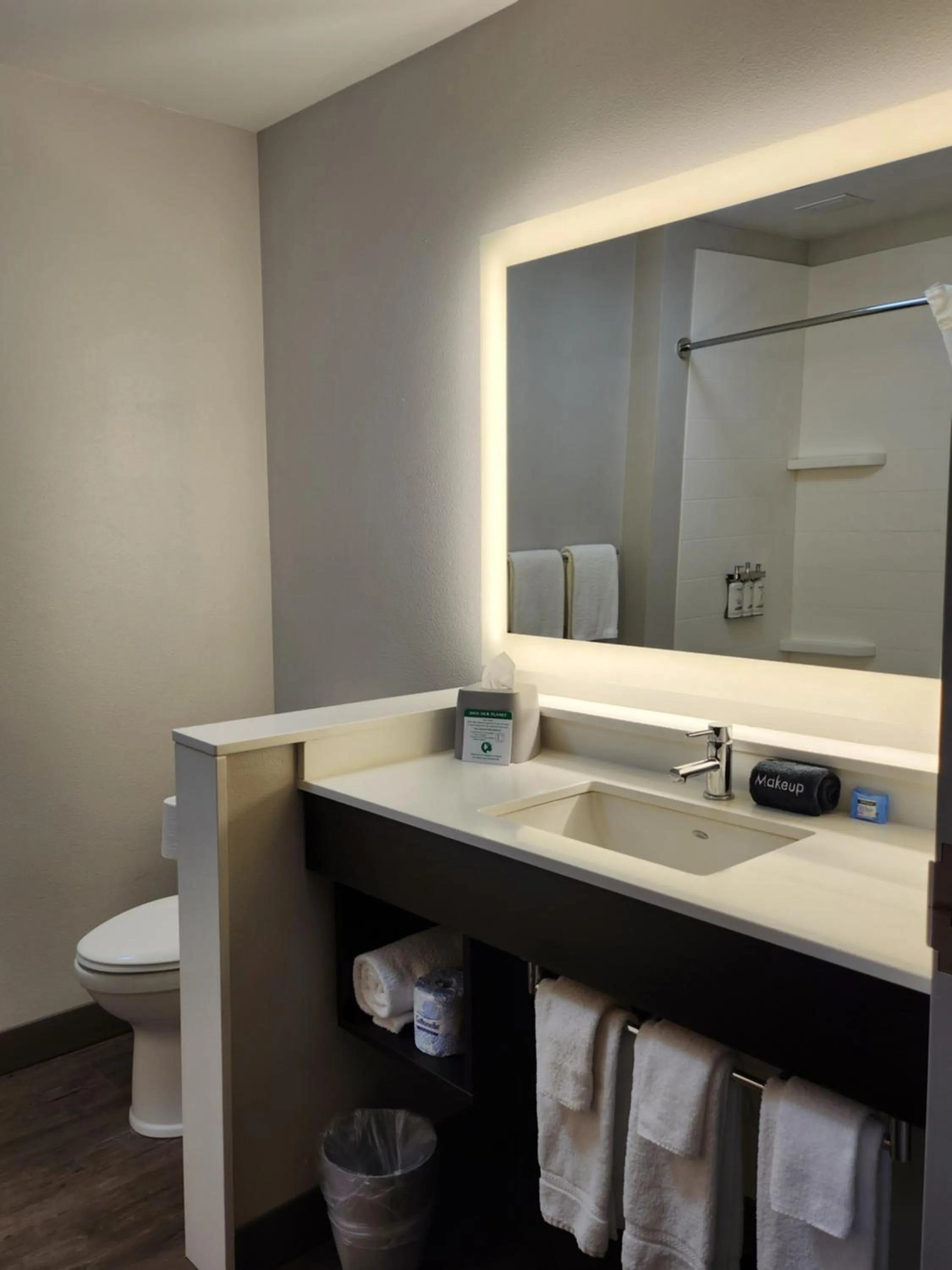 Bathroom in Holiday Inn Express & Suites - Camas by IHG