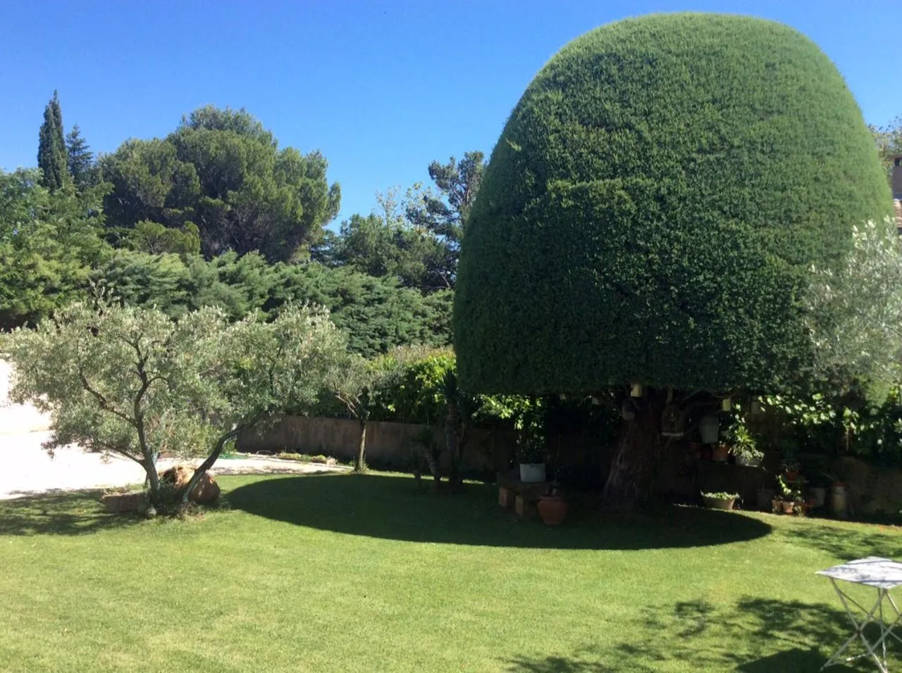 Garden in Chambre d'hôte Anais