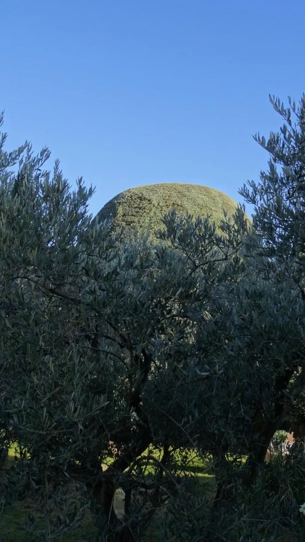 Garden in Chambre d'hôte Anais