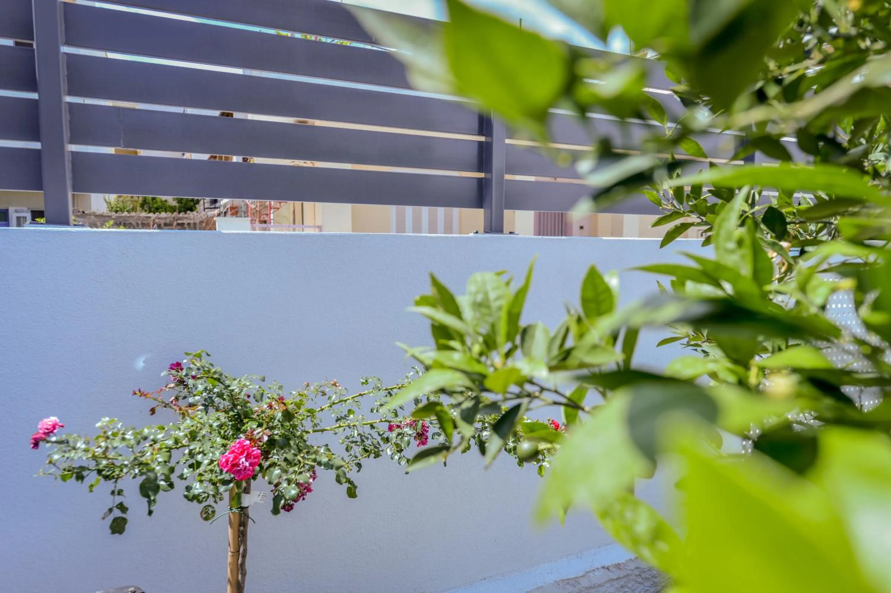 Garden in City Cottage - Kalamata Villas