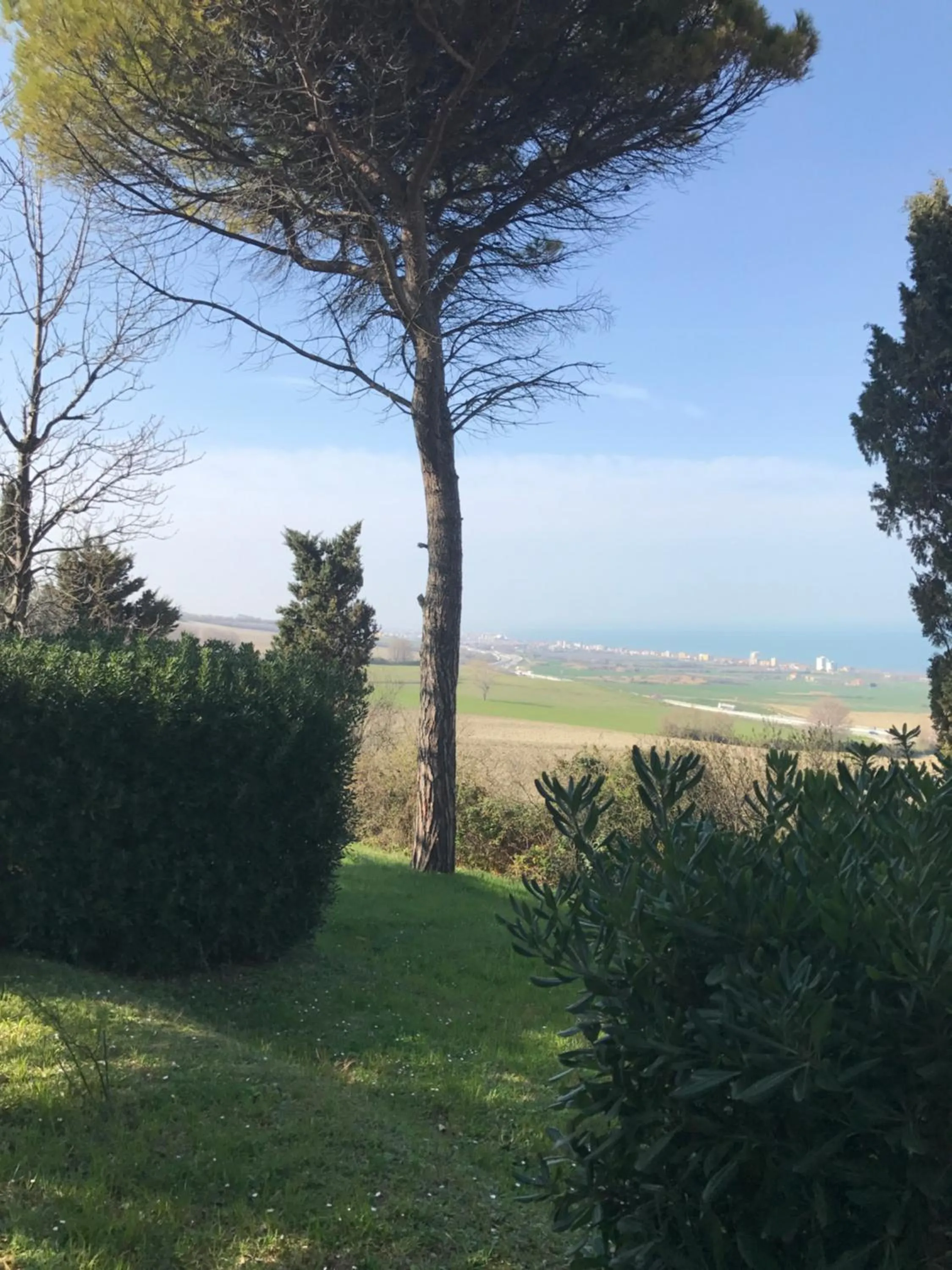 Garden view in Nonna Bon Bon