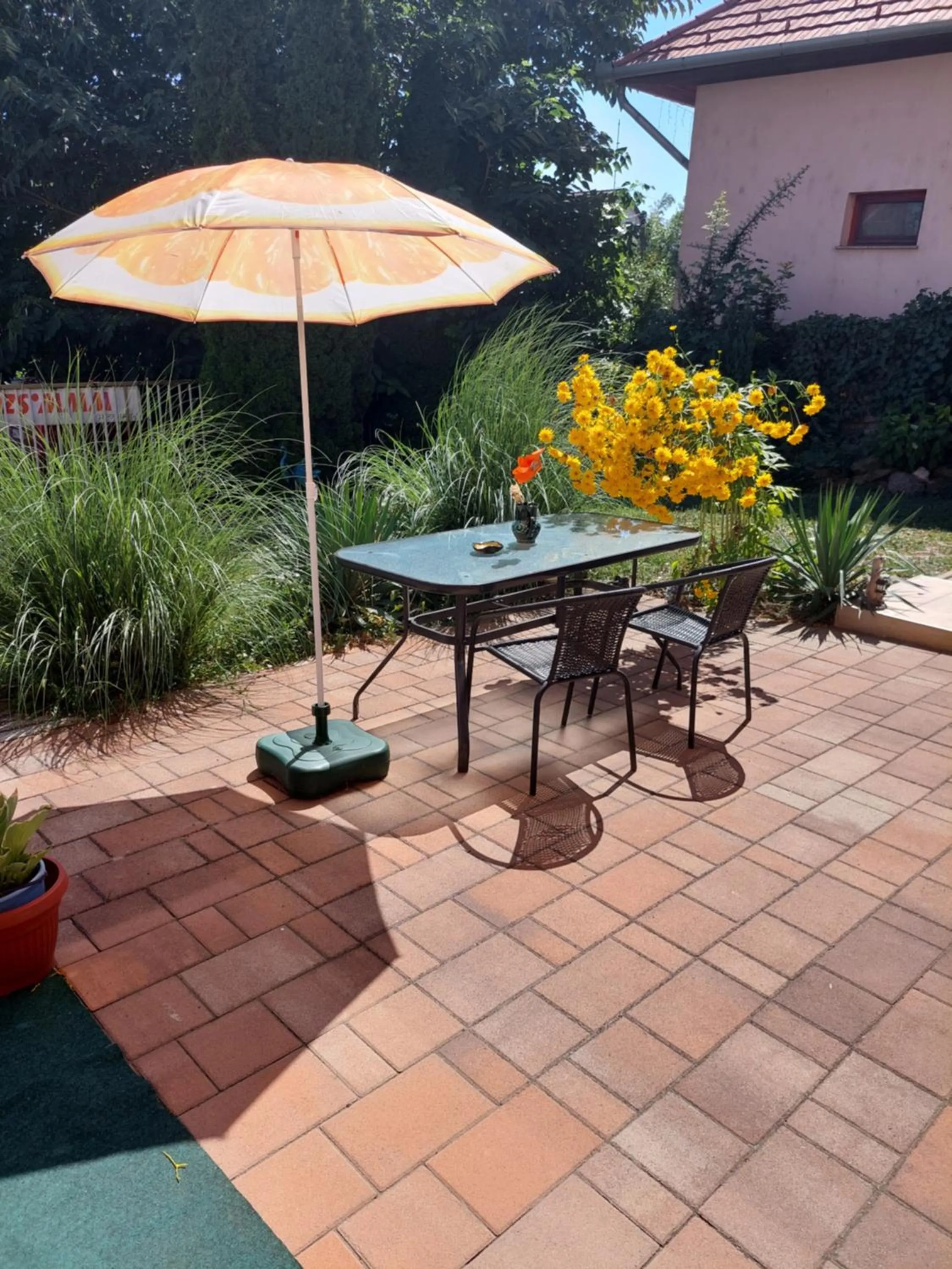 Garden view in Royal Court Apartman - HU registered IntStud Apartman