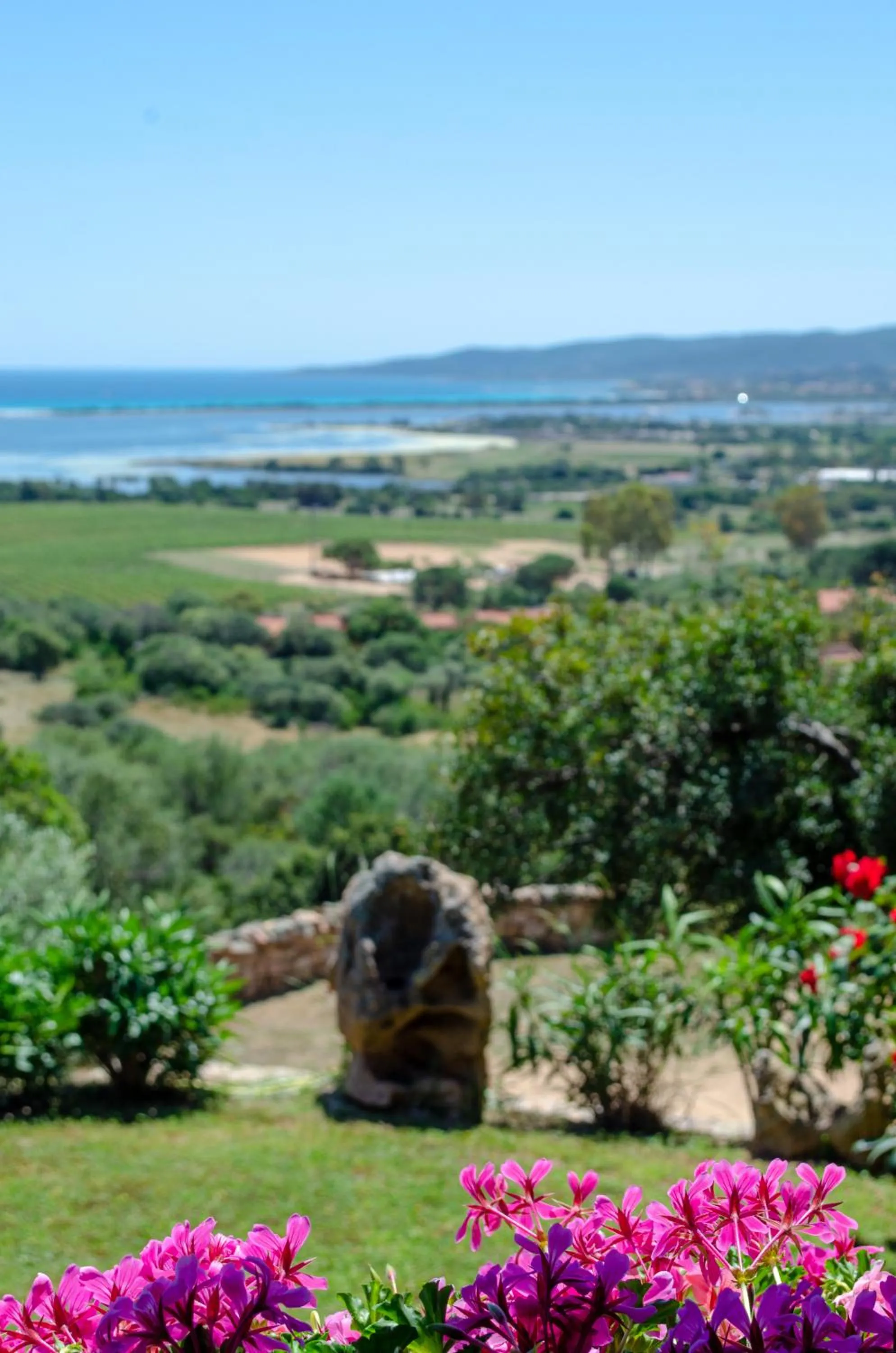 Garden in La Minditta