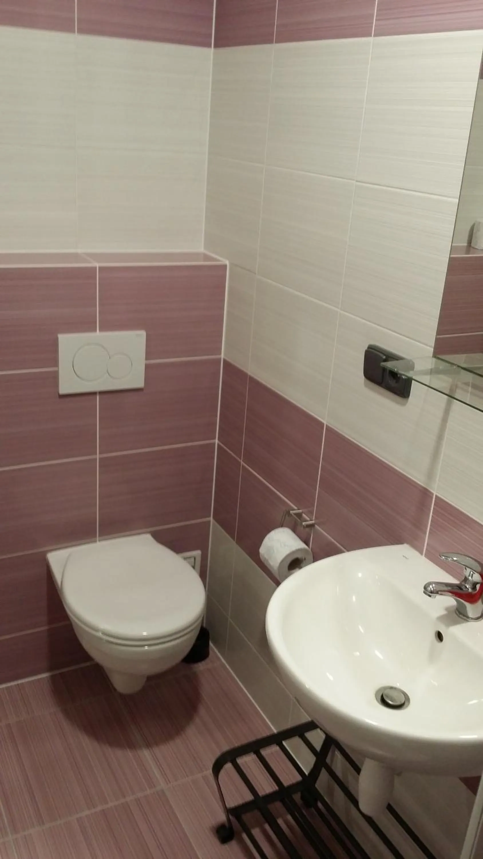 Toilet in Ubytování Němčičky