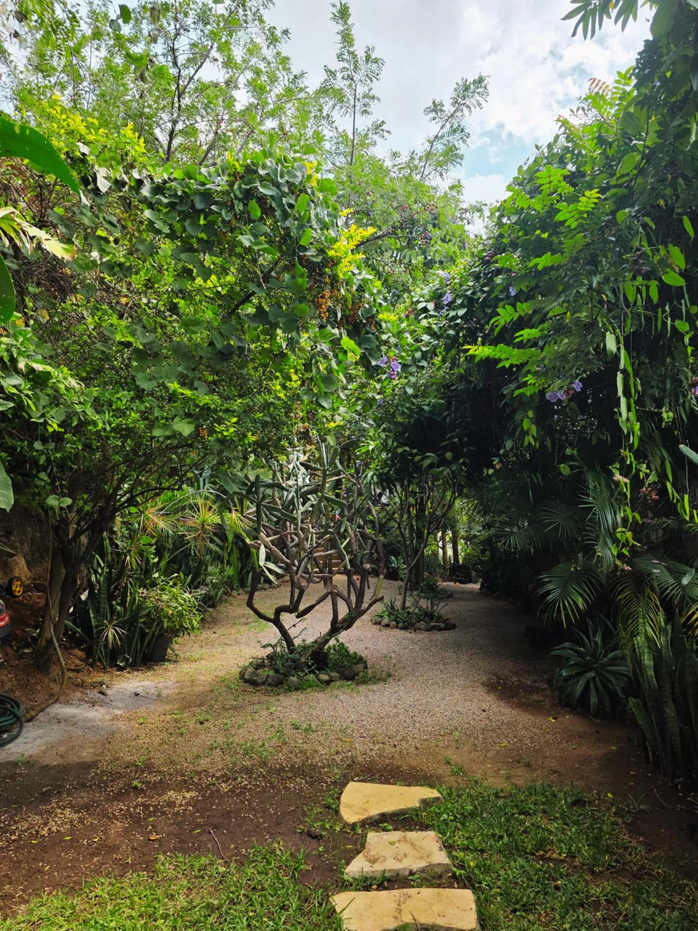 Cabañas el Nido de la Huilota
