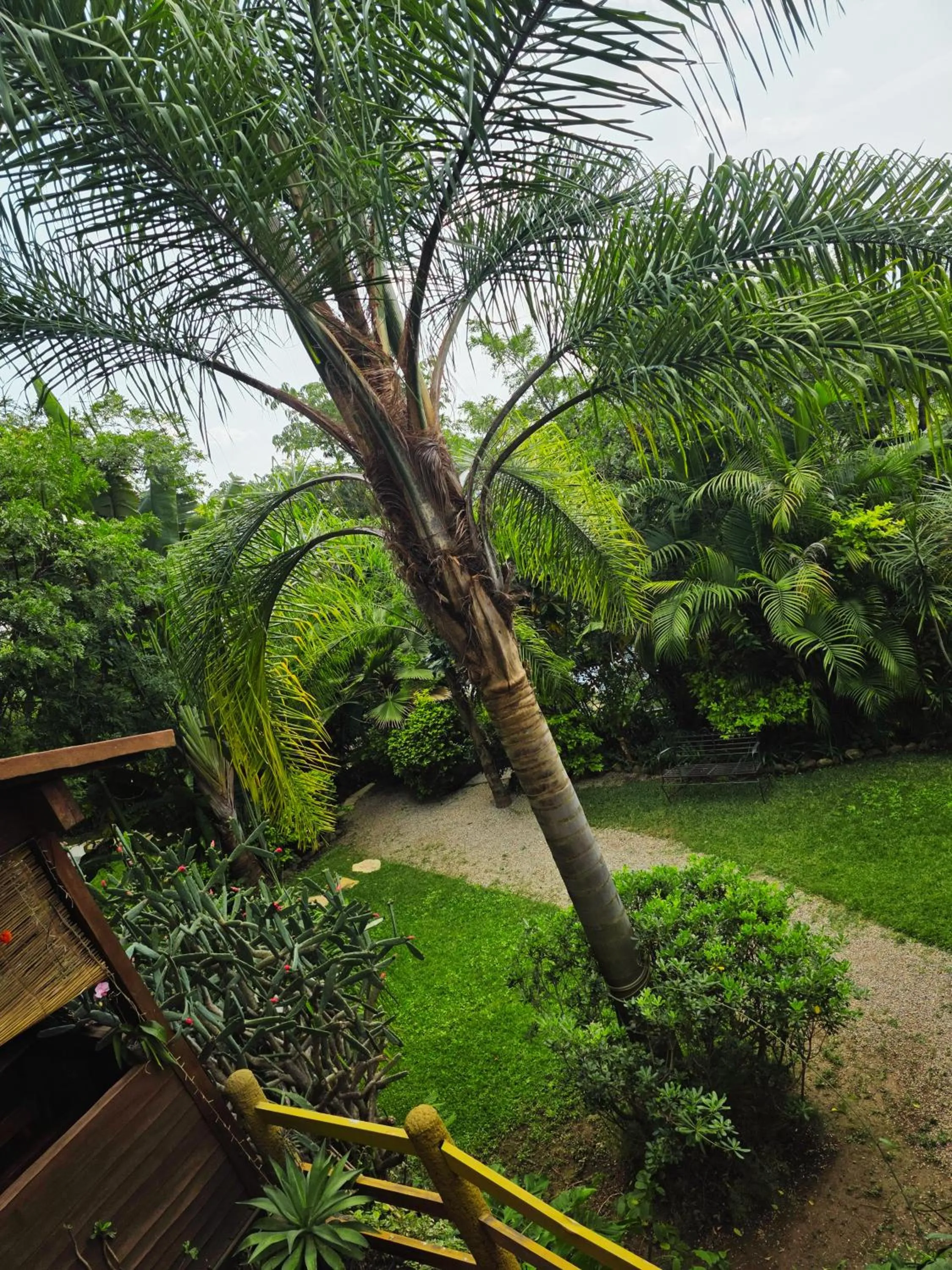 Cabañas el Nido de la Huilota