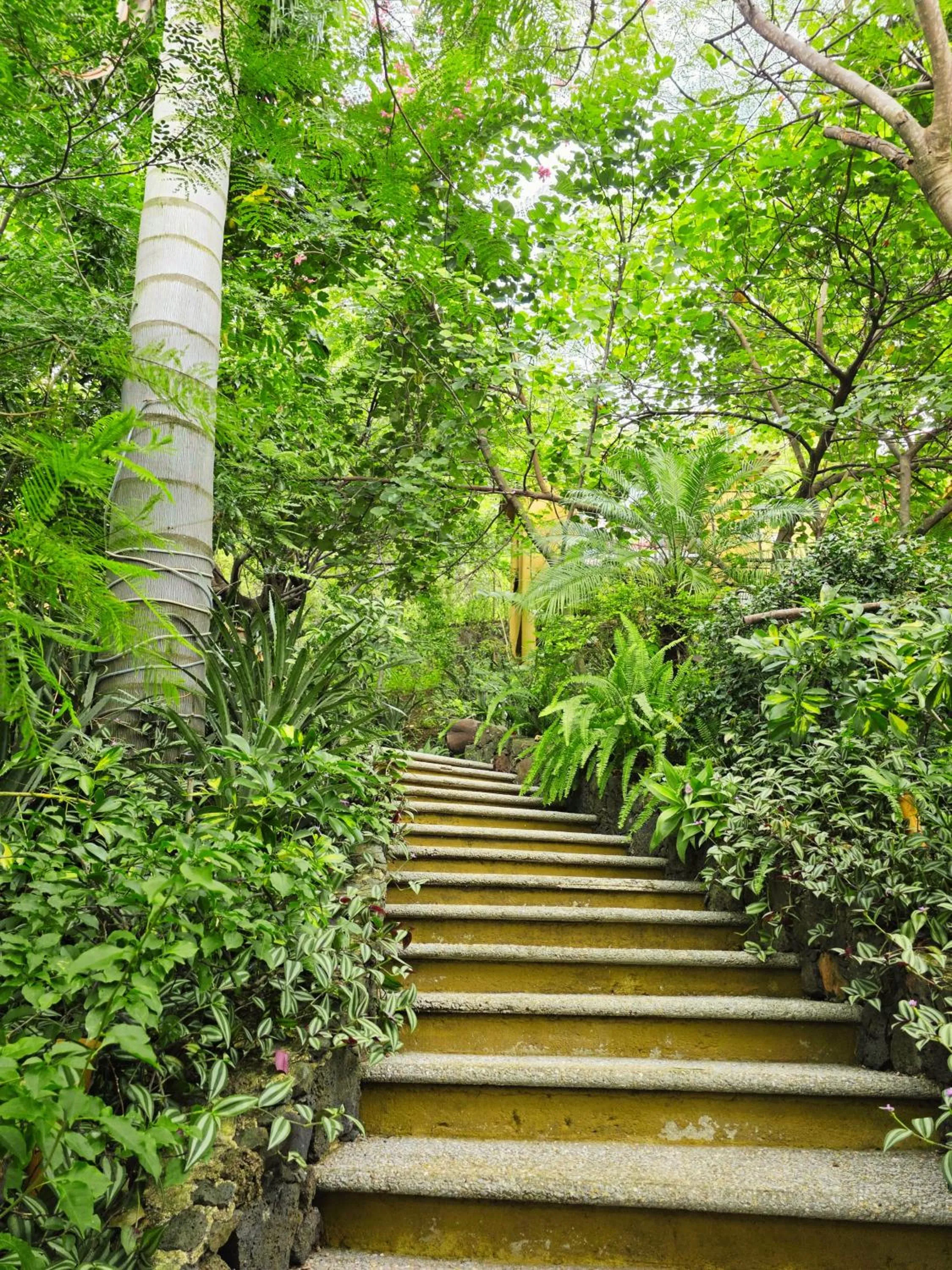 Cabañas el Nido de la Huilota