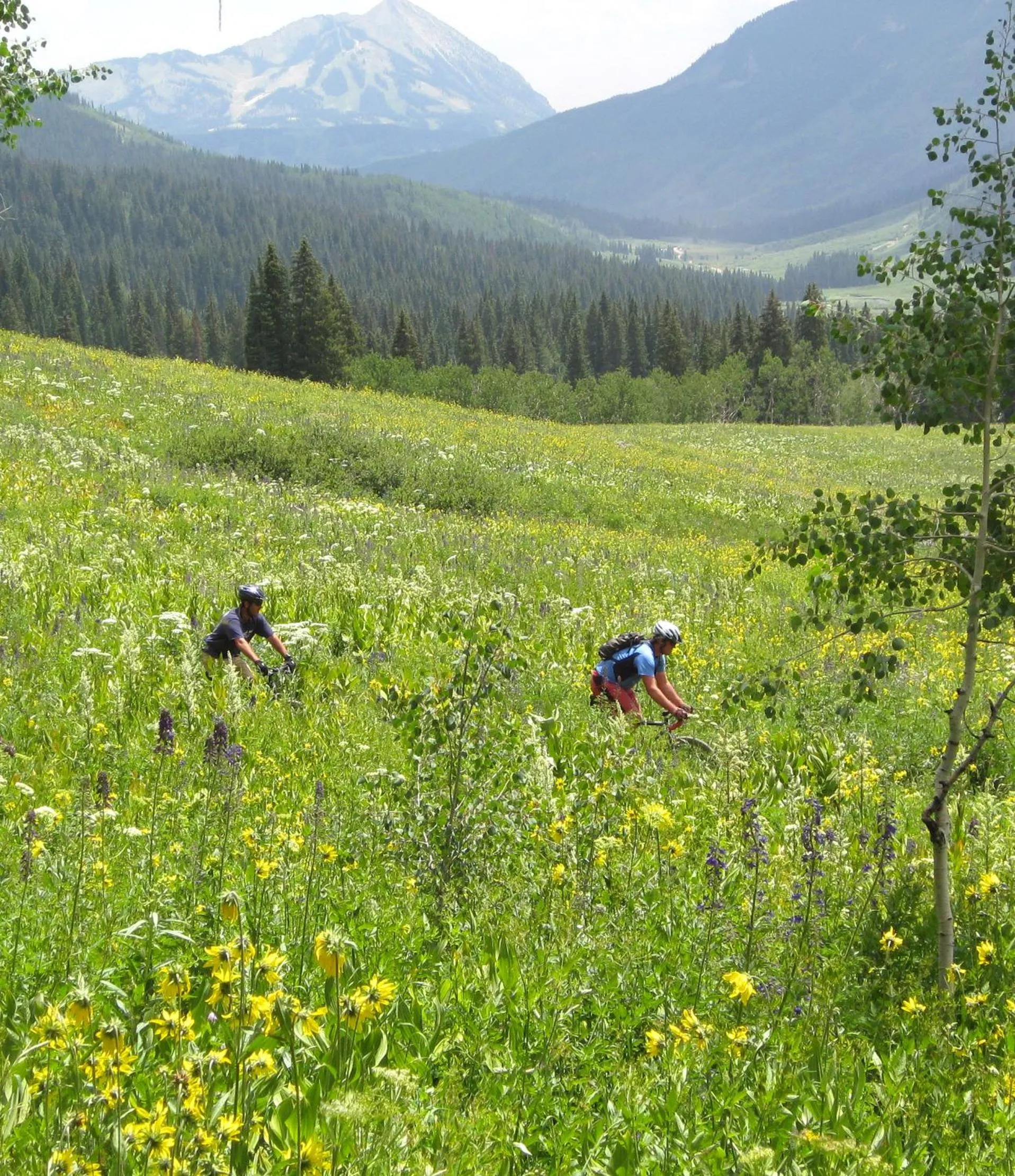 Cycling in Purple Mountain Bed & Breakfast & Spa