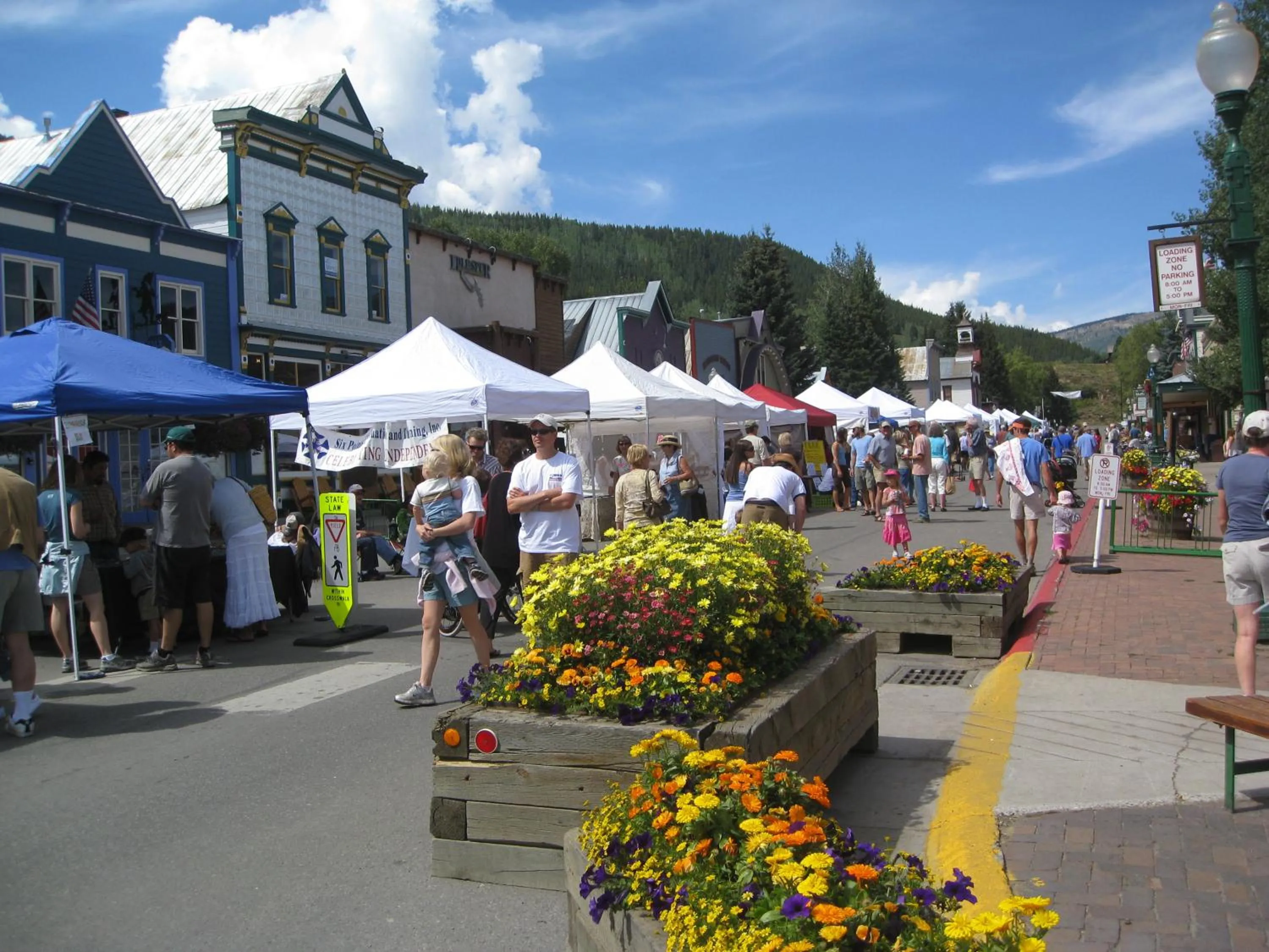 Shopping Area in Purple Mountain Bed & Breakfast & Spa