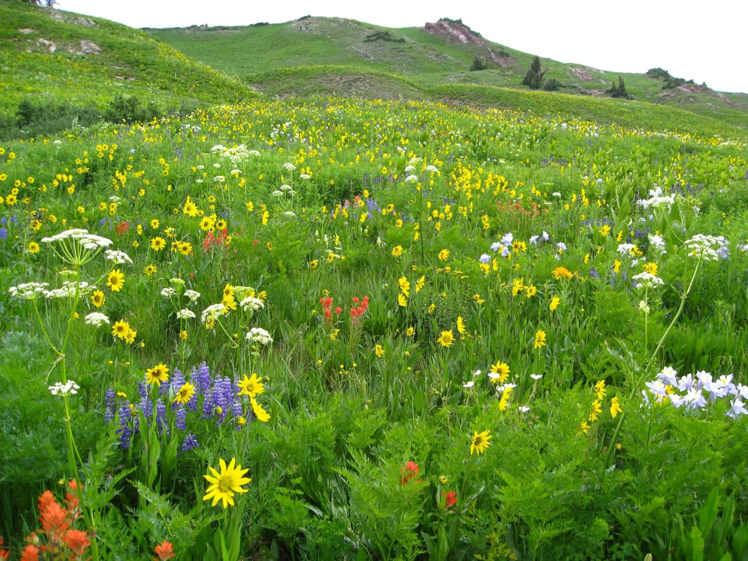 Hiking in Purple Mountain Bed & Breakfast & Spa