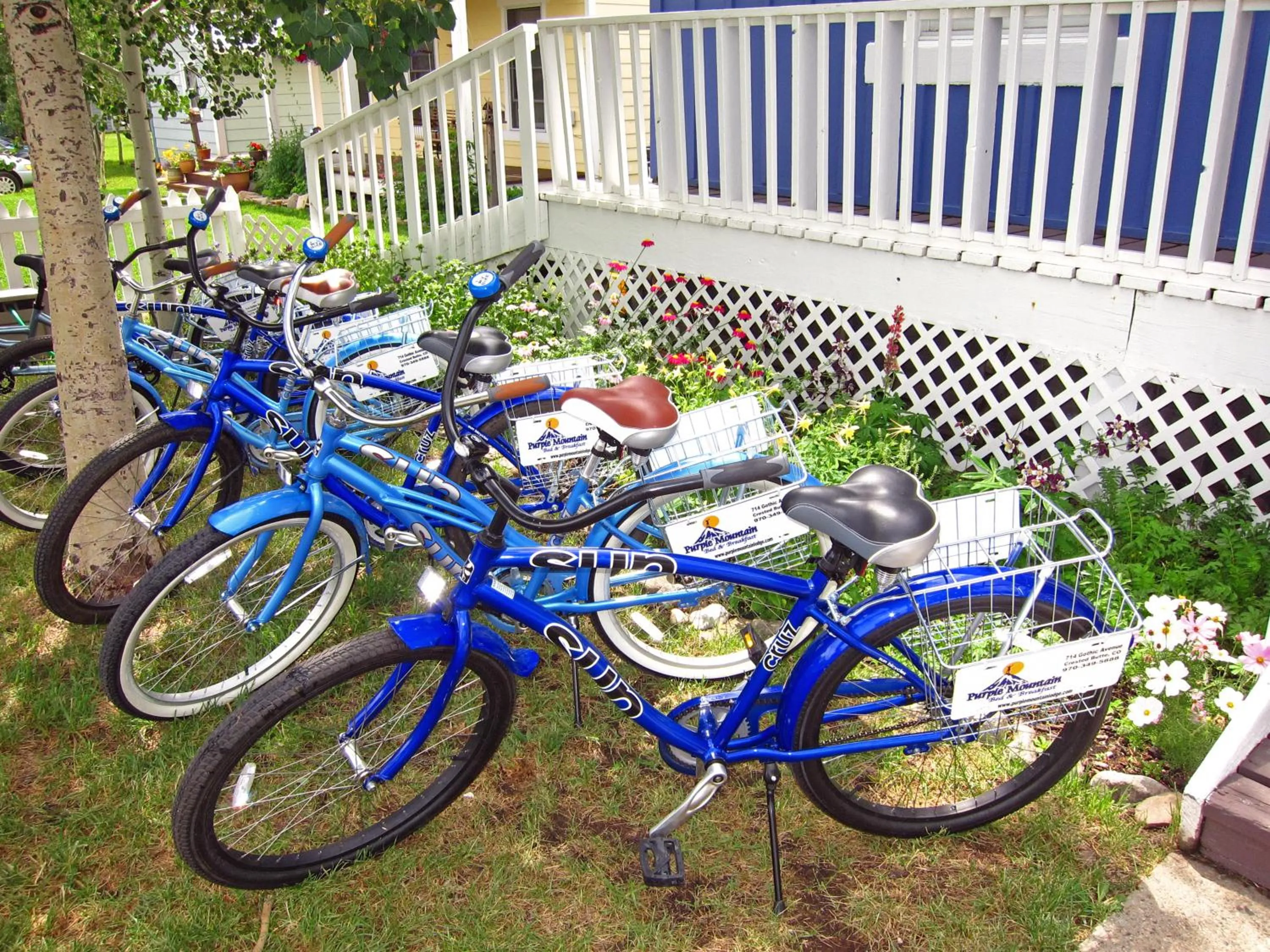 Cycling in Purple Mountain Bed & Breakfast & Spa