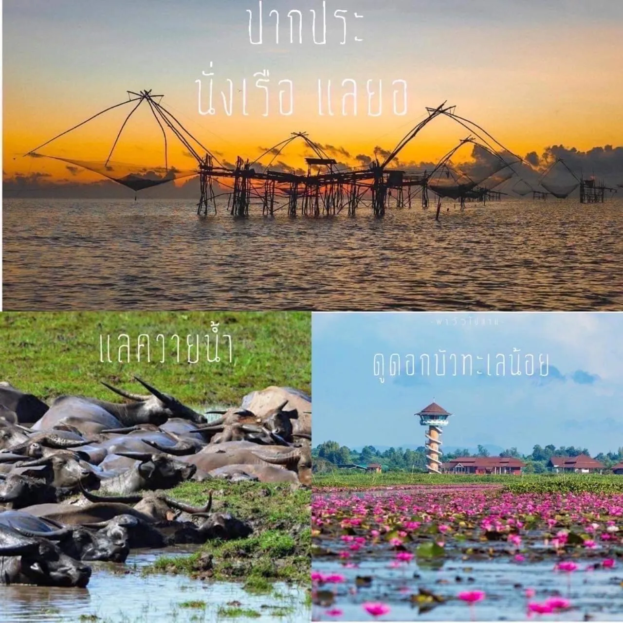 Sai Klong Song Lae Resort Pakpra Phatthalung