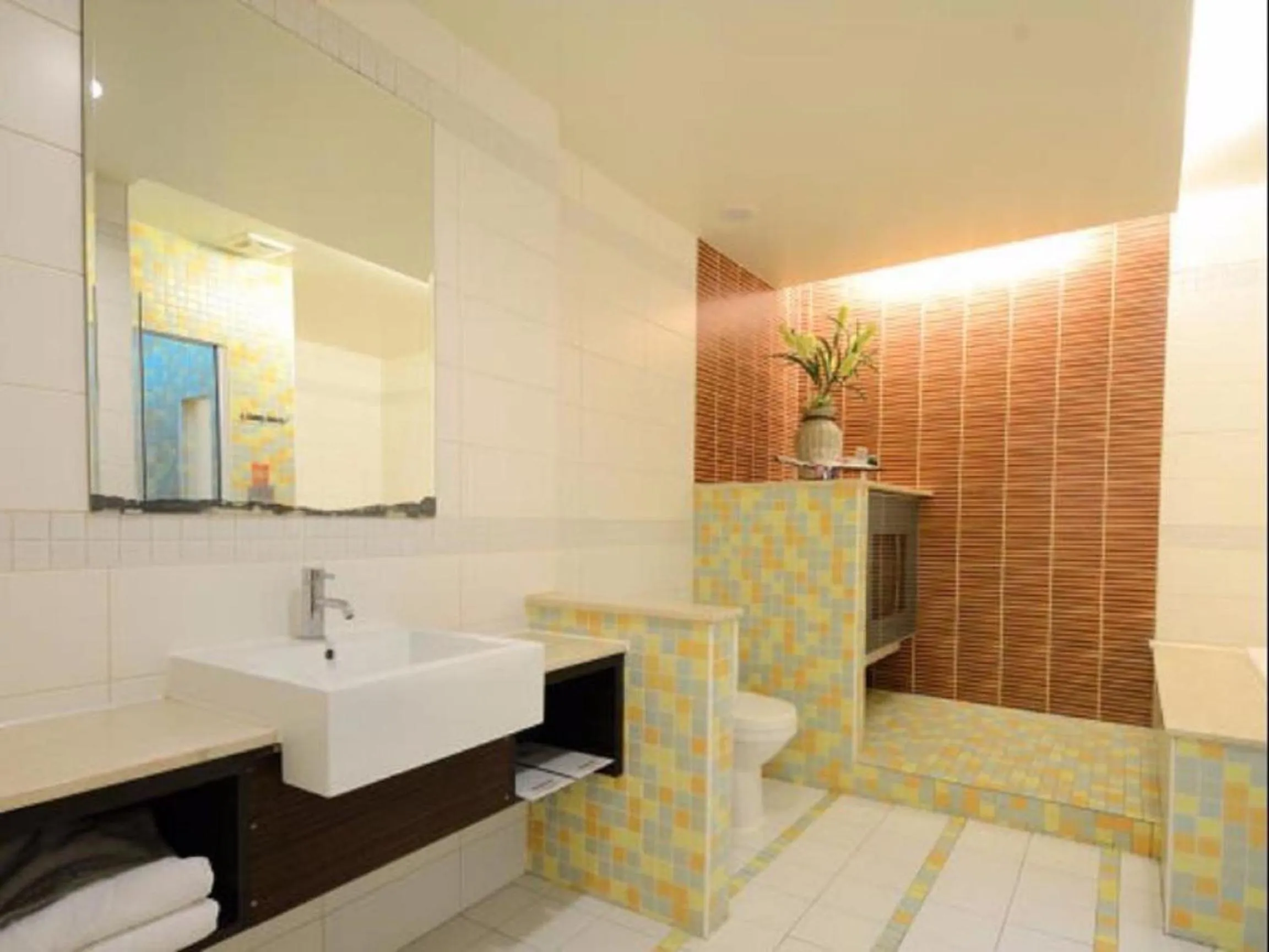 Shower in Hua Xiang Motel